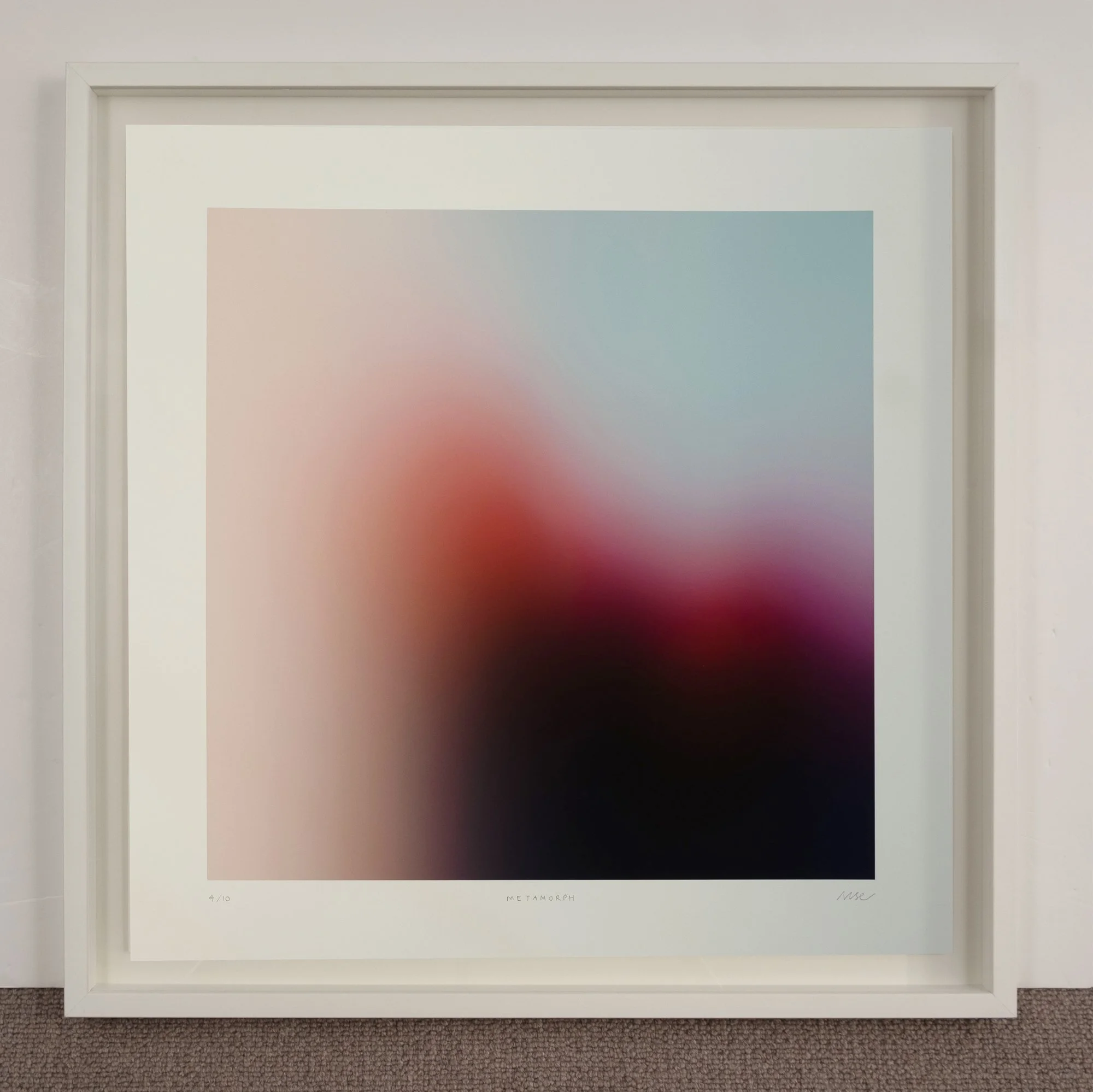 metamorph_framed.jpg