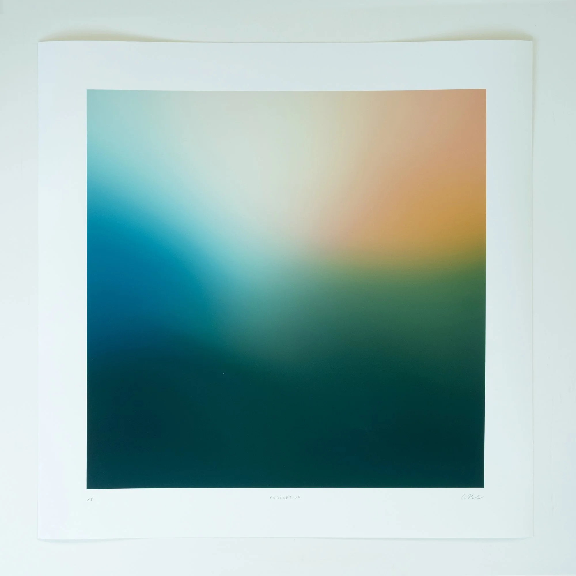 perception_square_new.jpg