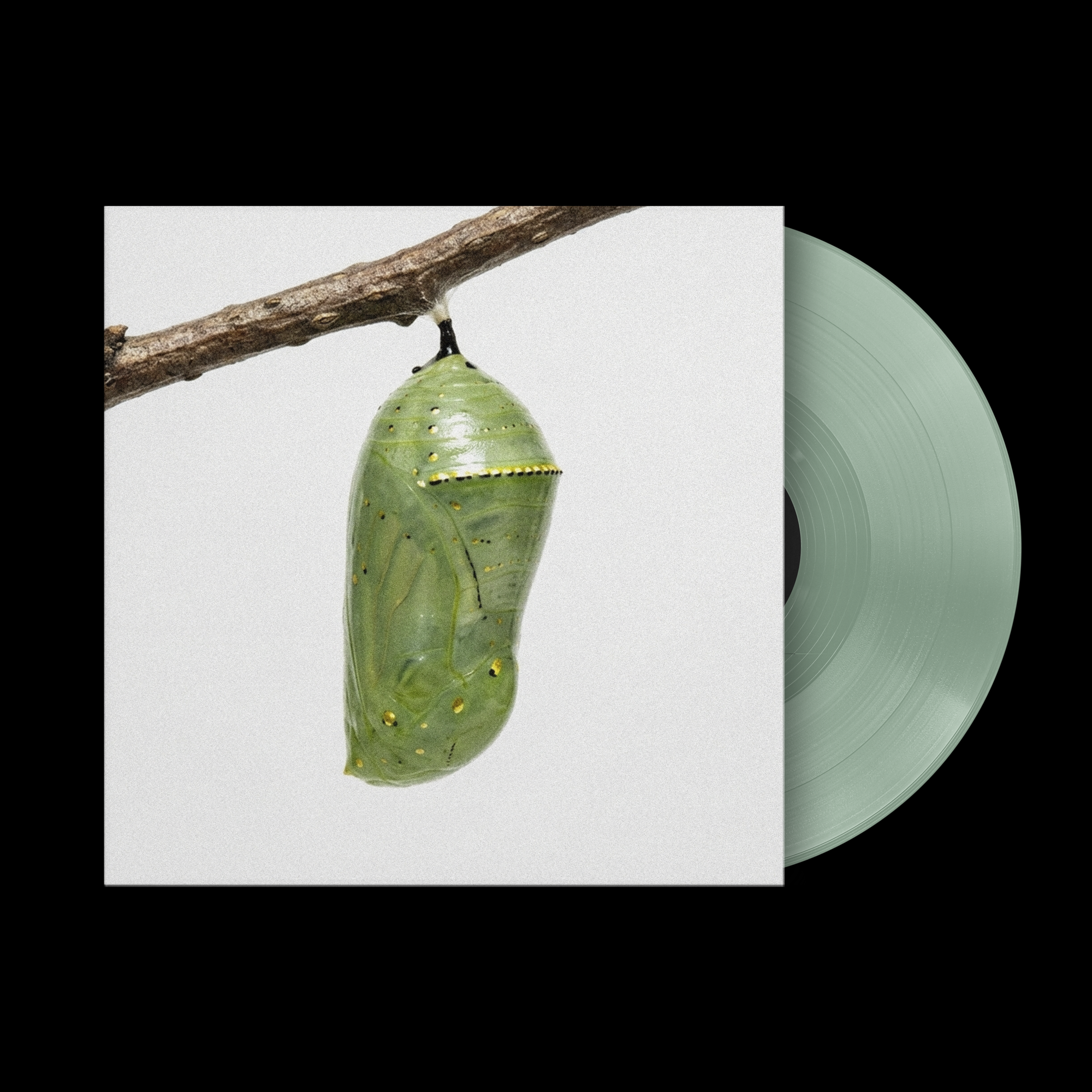 The Effects of Fashion and Prayer - Vinyl - Limited - PREORDER