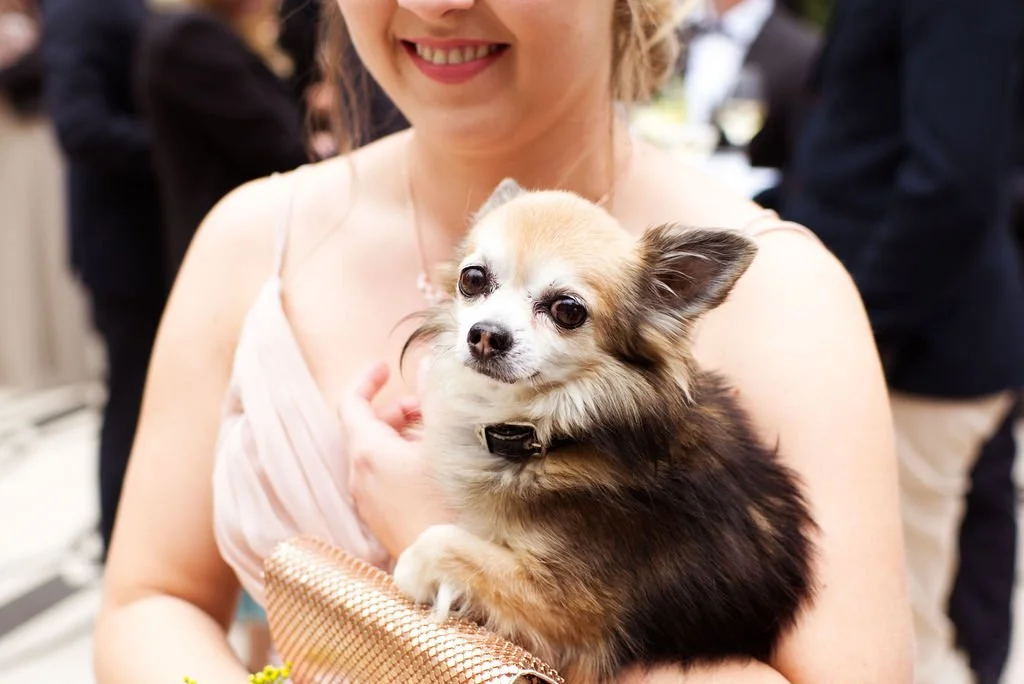 Eine Frau hält einen kleinen Hund in den Armen bei einer Veranstaltung, im Hintergrund sind andere Menschen.