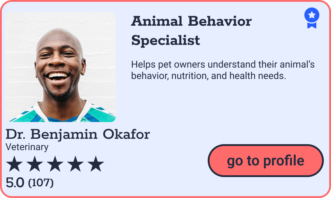 A profile card of Dr. Benjamin Okafor, a veterinary animal behavior specialist, featuring a smiling man with a bald head, a five-star rating, and a 5.0 review score based on 107 reviews.