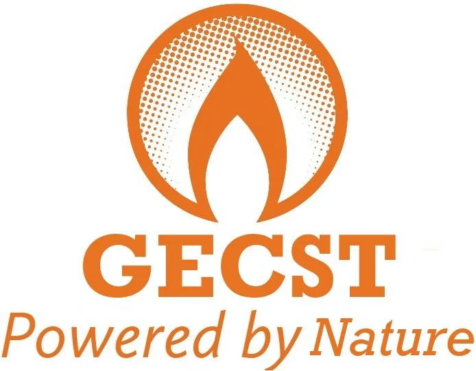 Green Energy Conversion and Storage Technologies