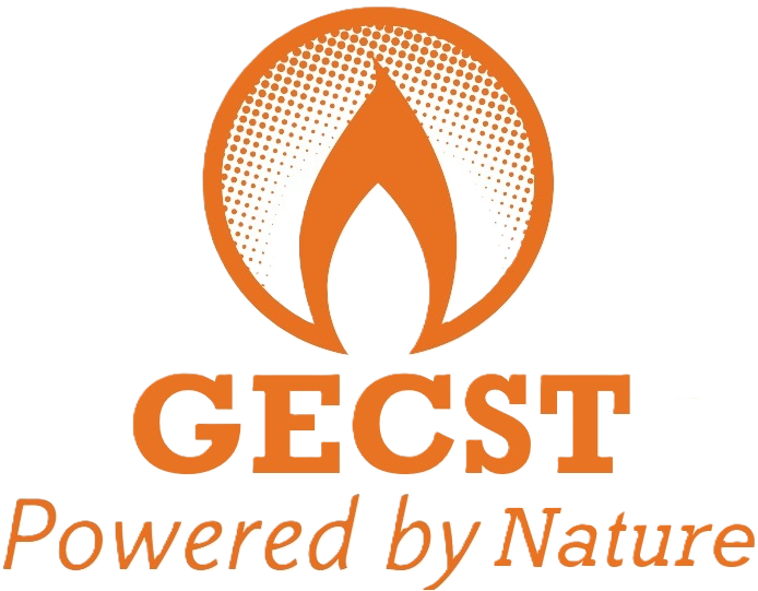 Green Energy Conversion and Storage Technologies