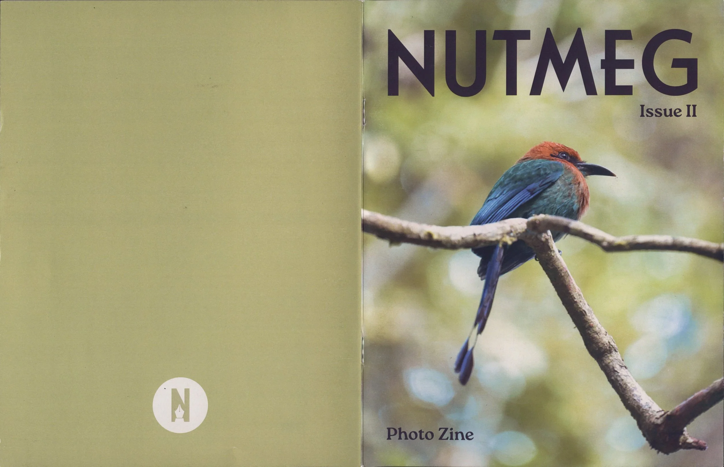 Photograph of a colorful bird with reddish-orange, blue, and green feathers perched on a branch. The background is blurred green, indicating a natural outdoor setting. The right side of the image features large purple text reading 'NUTMEG' and smaller text 'Issue II' and 'Photo Zine' beneath it.