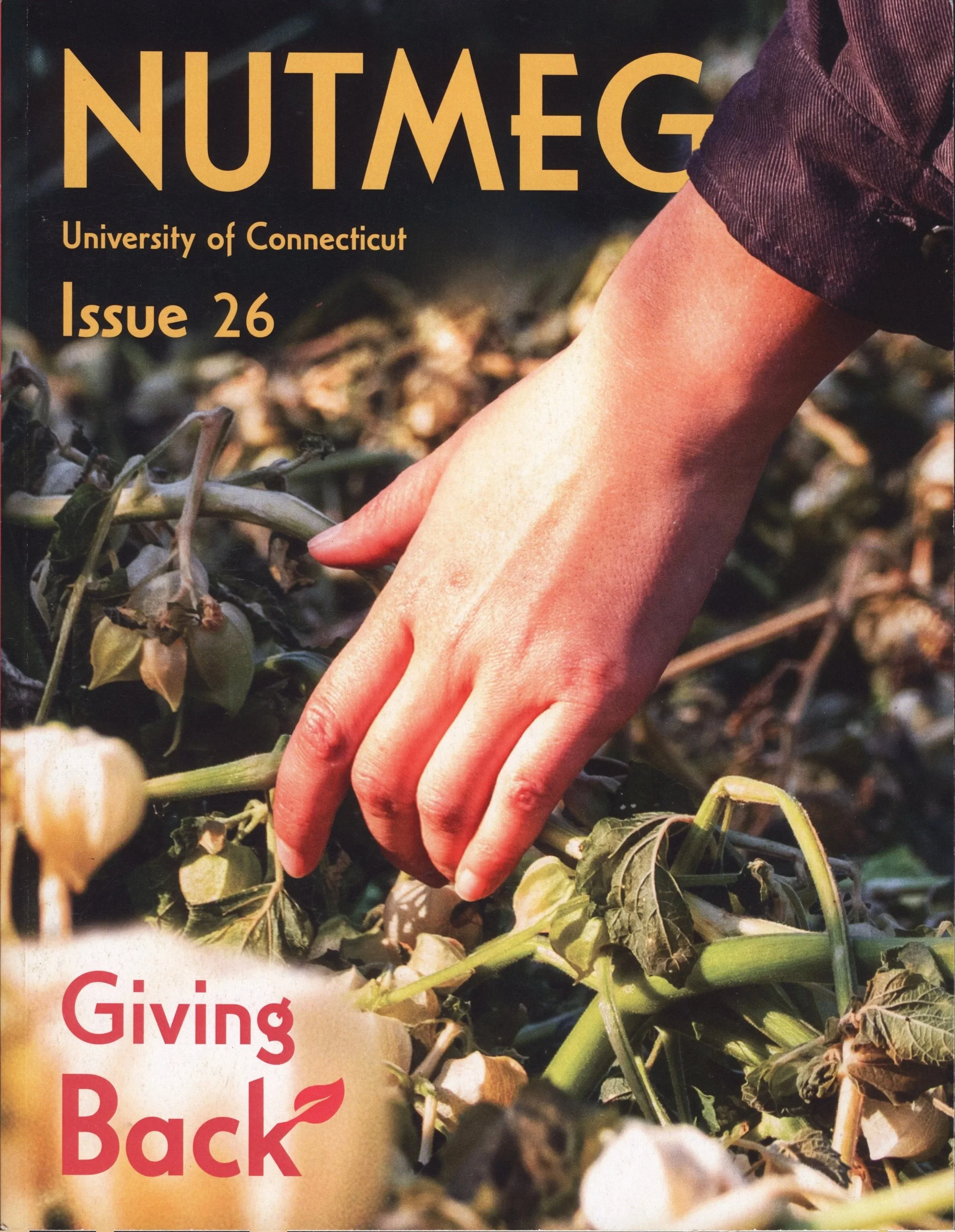 Close-up of a hand reaching into a garden bed with green and dried plants, with text indicating it's from a publication related to the University of Connecticut and issue 26.