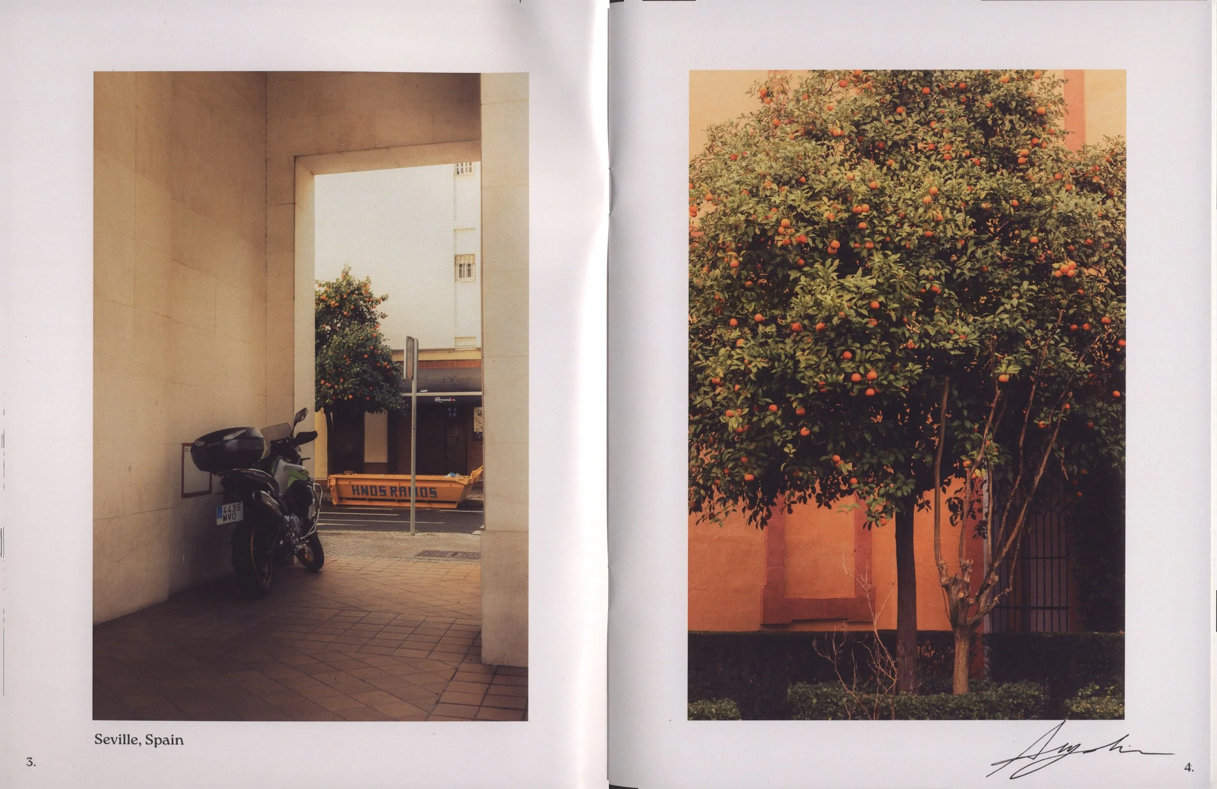 Photographs of a street scene in Seville, Spain on the left and a fruit tree in a garden on the right.