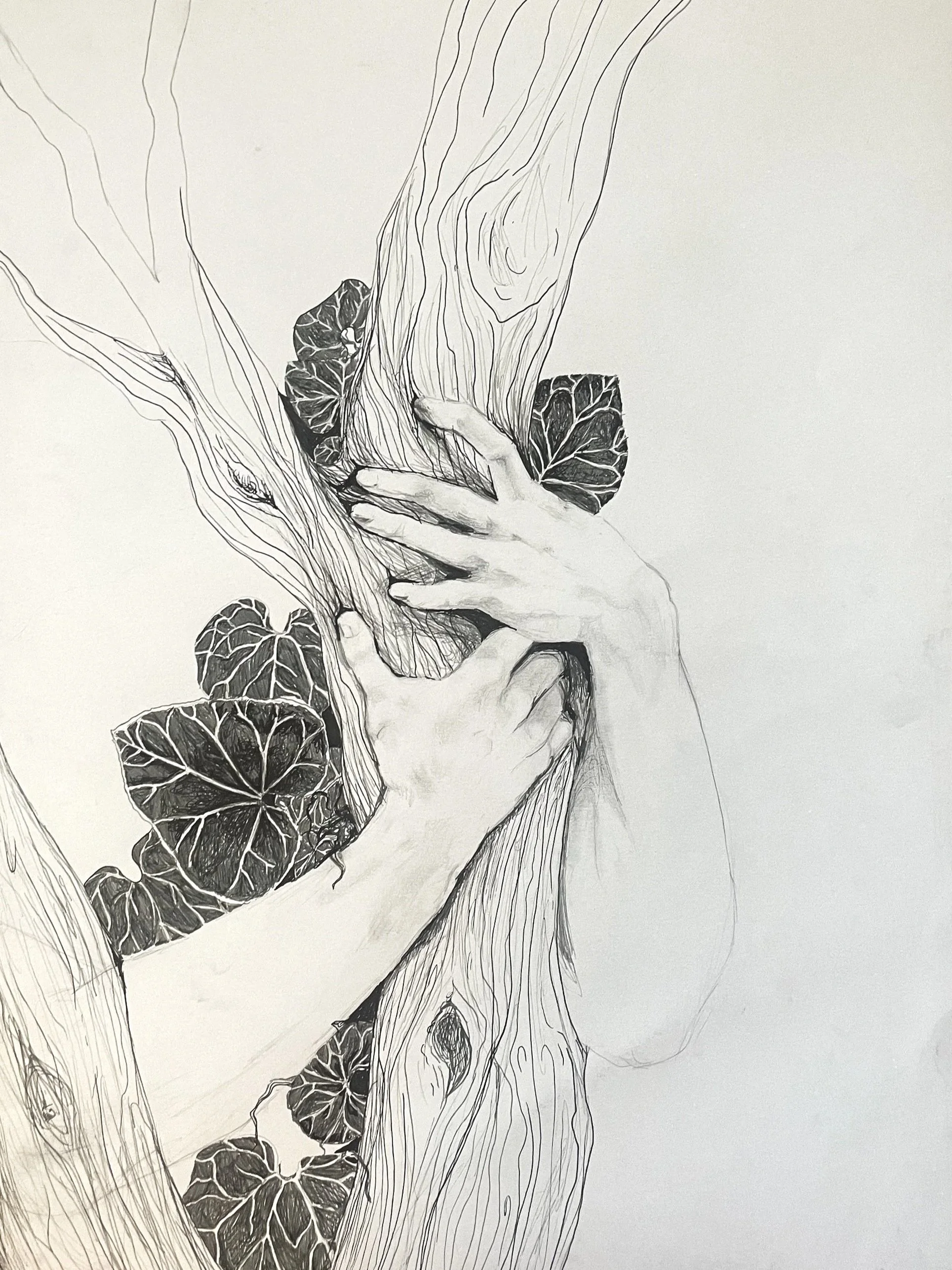 Black and white drawing of a person hugging a tree with detailed leaves, with the person's face and hands visible.