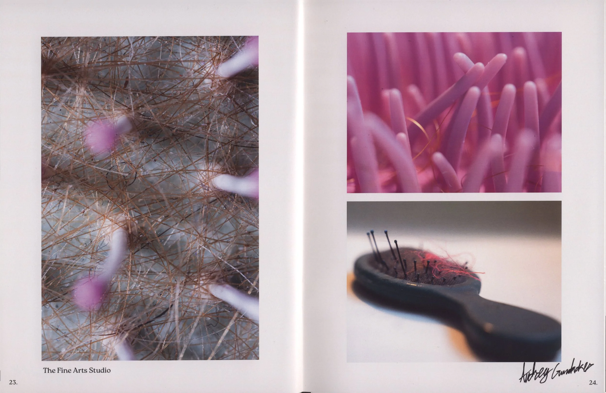 Two close-up photographs of abstract textures and patterns, one of a tangled collection of fine, brownish, wiry strands with pink highlights, and another of smooth, pink, finger-like structures, with additional images of art and craft supplies at the bottom.