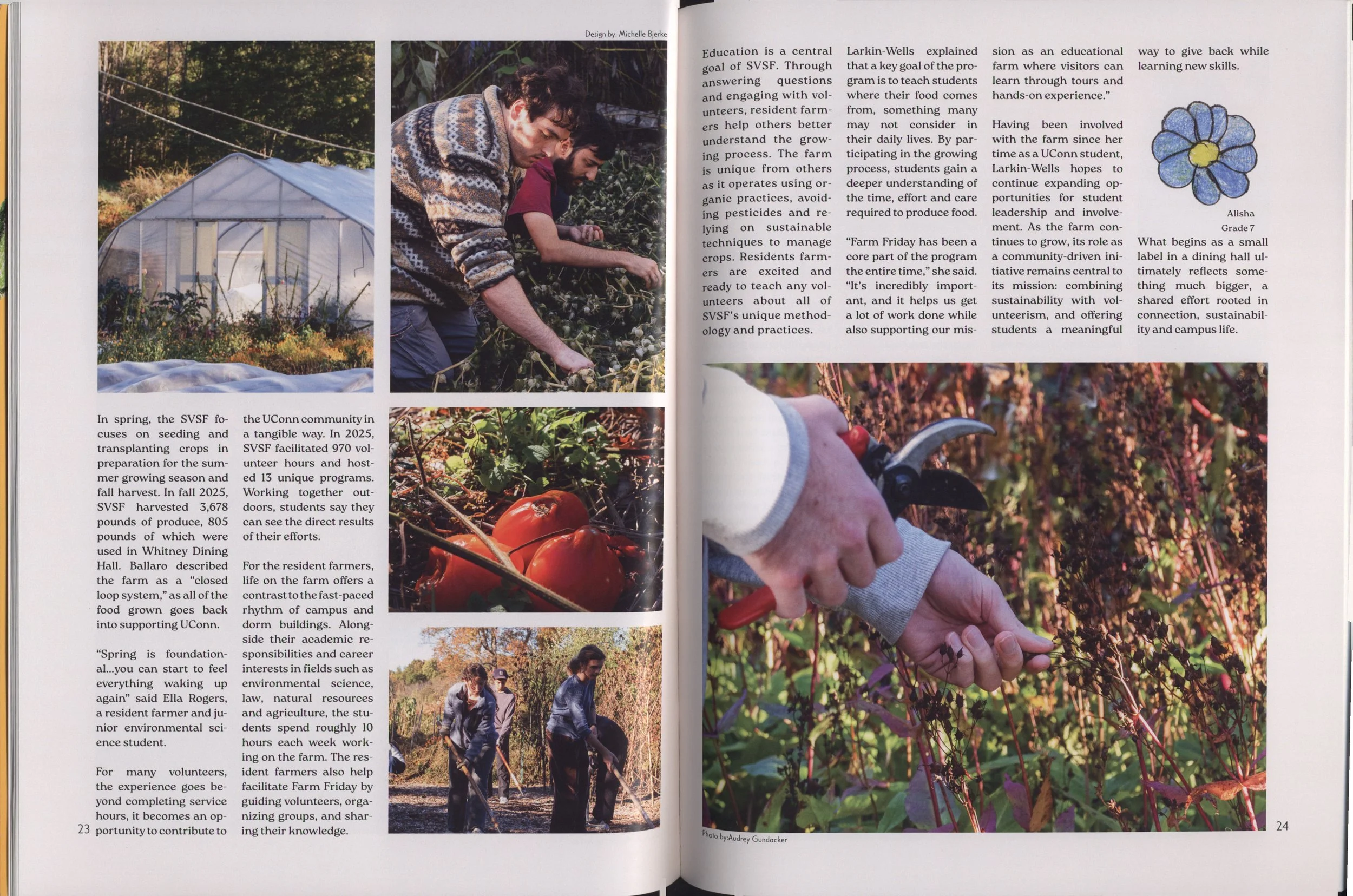 Two young men are harvesting tomatoes in a garden, with a greenhouse and trees in the background during daylight.