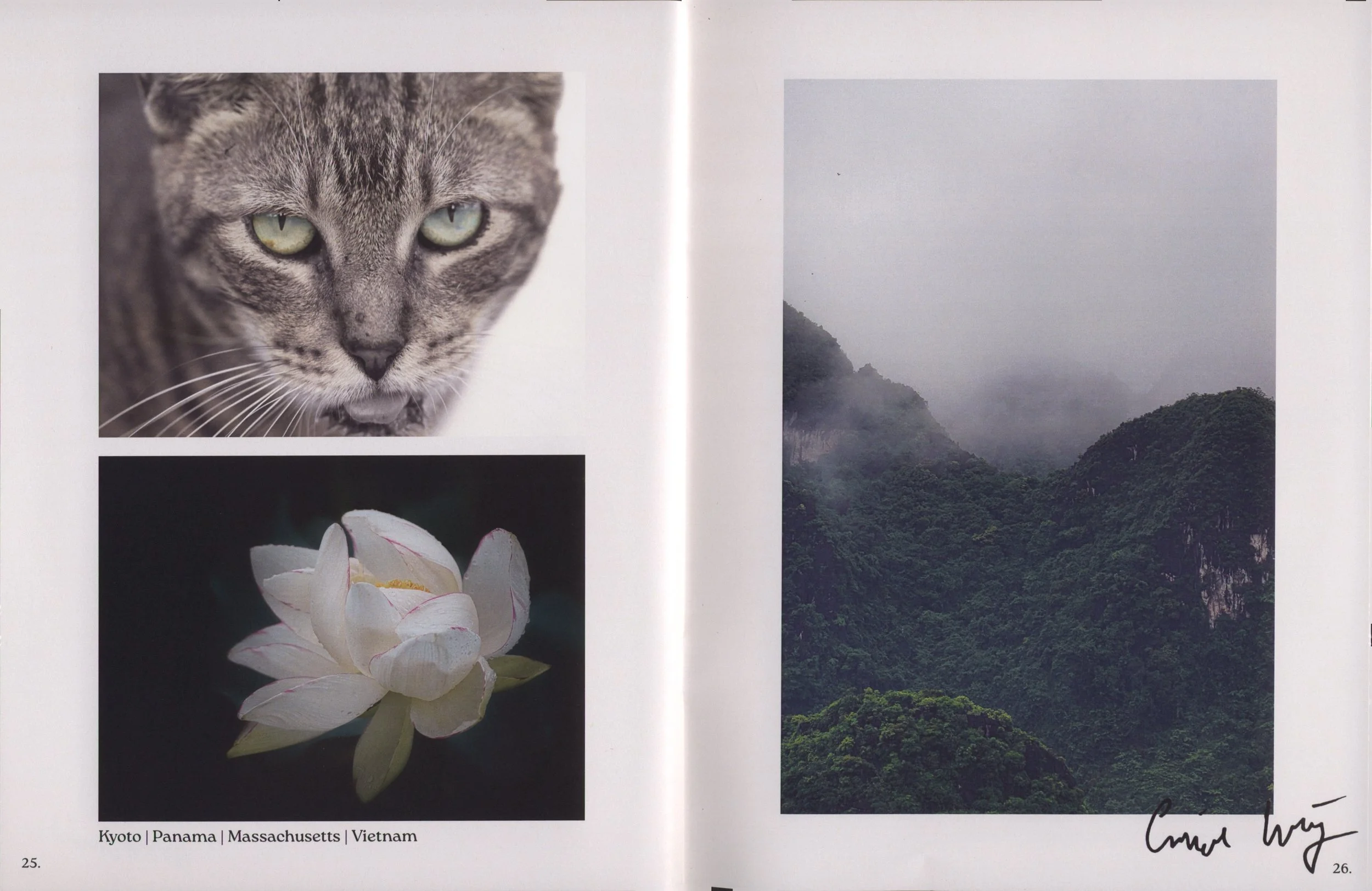 Two pages from a book, with the left showing a close-up photo of a gray tabby cat with yellow-green eyes and a pink tongue slightly visible, and the right showing a misty mountain landscape with lush green hills. The bottom of the pages has text indicating locations: Kyoto, Panama, Massachusetts, Vietnam, and a signature.