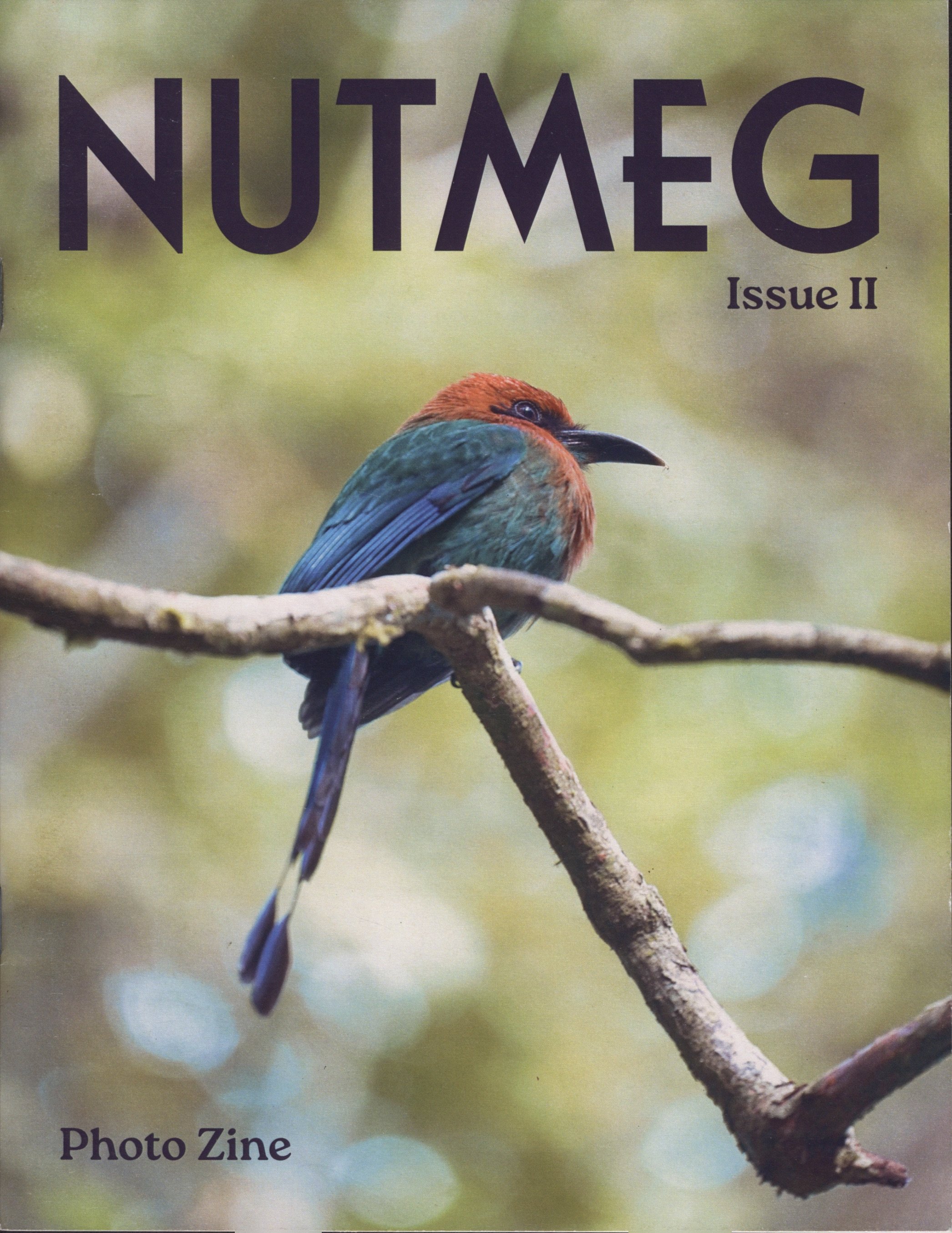 Close-up of a colorful bird sitting on a tree branch with blurred green background, on the cover of a photo zine titled 'NUMÆG Issue II'