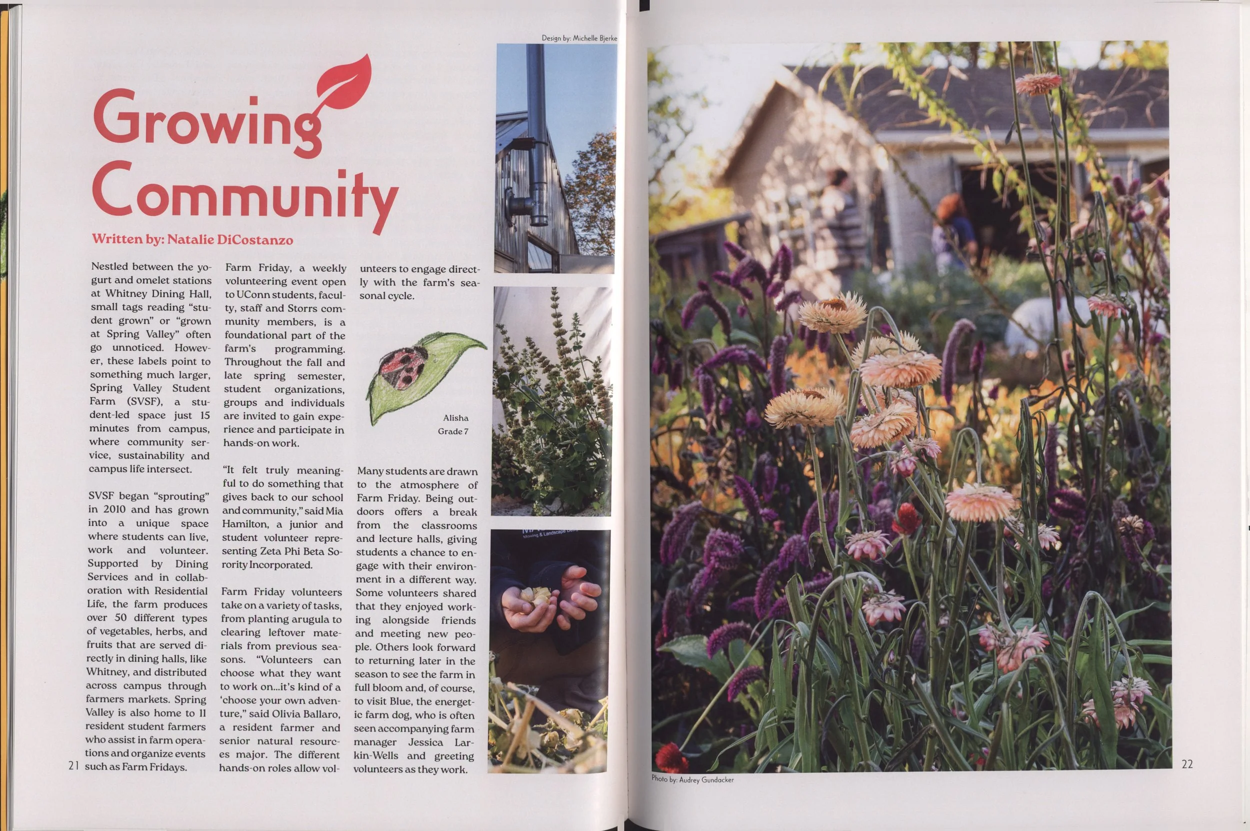 A magazine spread about a community farm, featuring a photo of a quaint farm house surrounded by flowers, and a close-up of abundant blooming flowers in the garden.