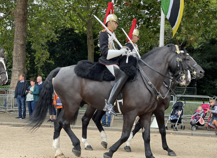 Screenshot 2025-05-27 at 16.45.36.png