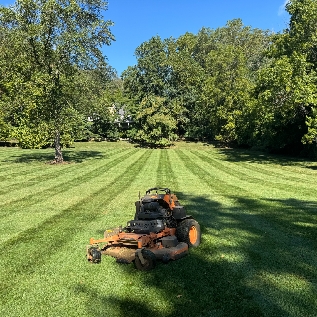 A lawn mower on freshly cut green grass in a spacious yard with large trees and a clear blue sky.
