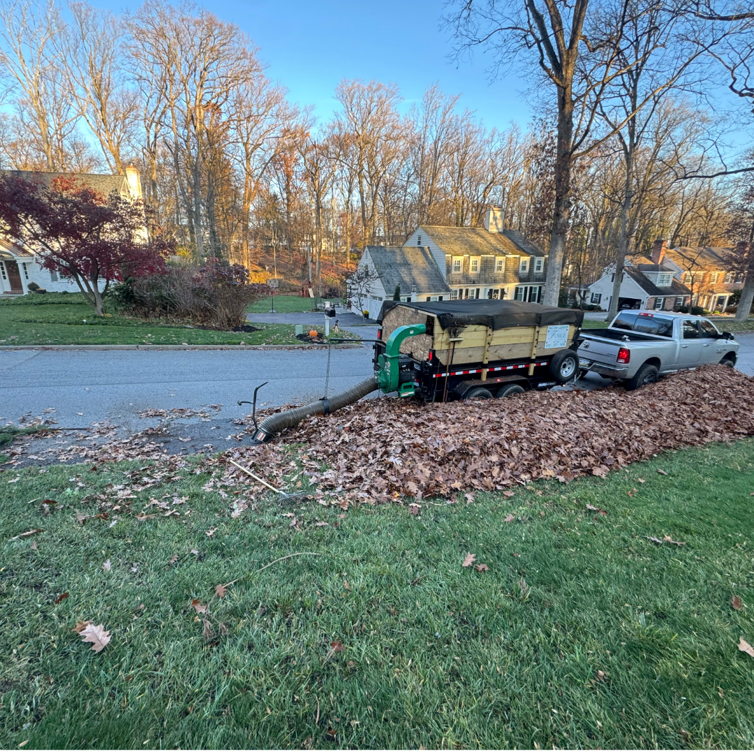A leaf vacuum attachment connected to a pickup truck, collecting leaves along the street in a neighborhood yard.