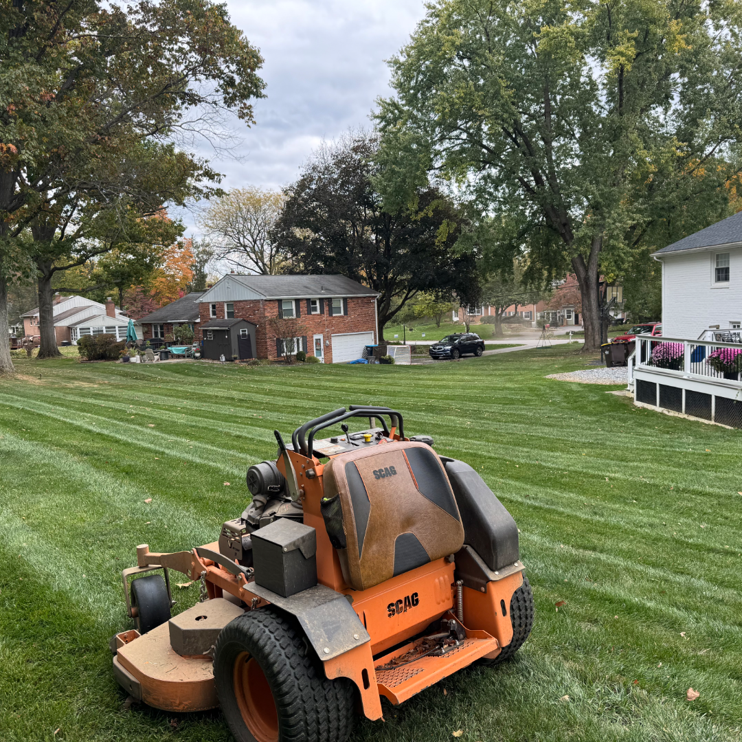 A riding lawn mower on freshly mowed grass in a residential backyard with large trees and houses in the background.