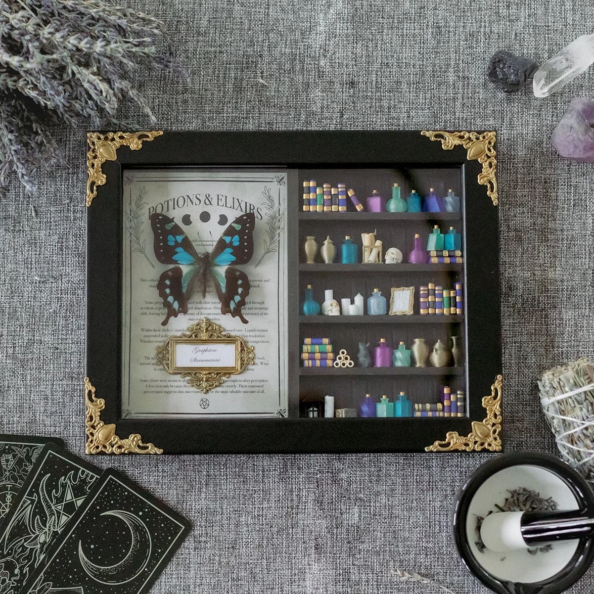 Graphium Stresemanni Tränkelabor Book Nook