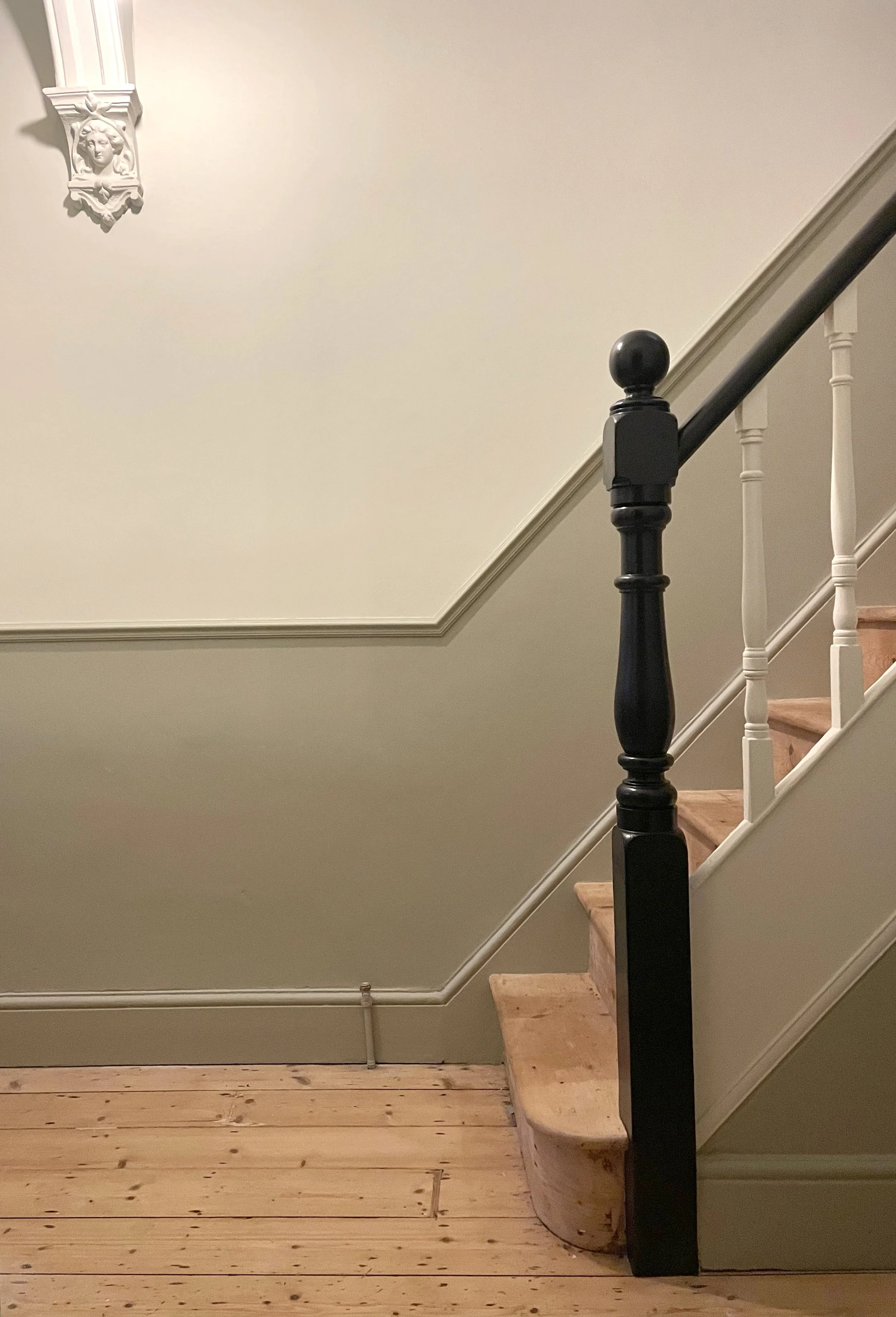dado rail install
