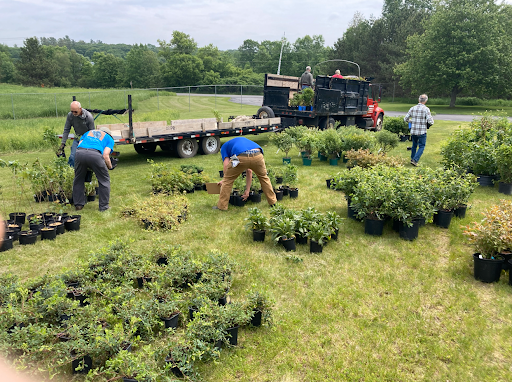 China Lake Watershed Restoration Project