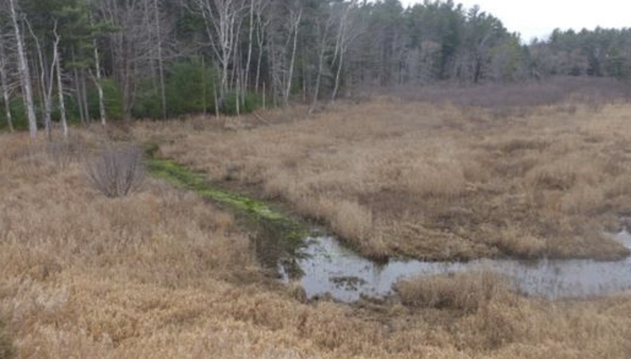 Mare Brook Watershed Assessment