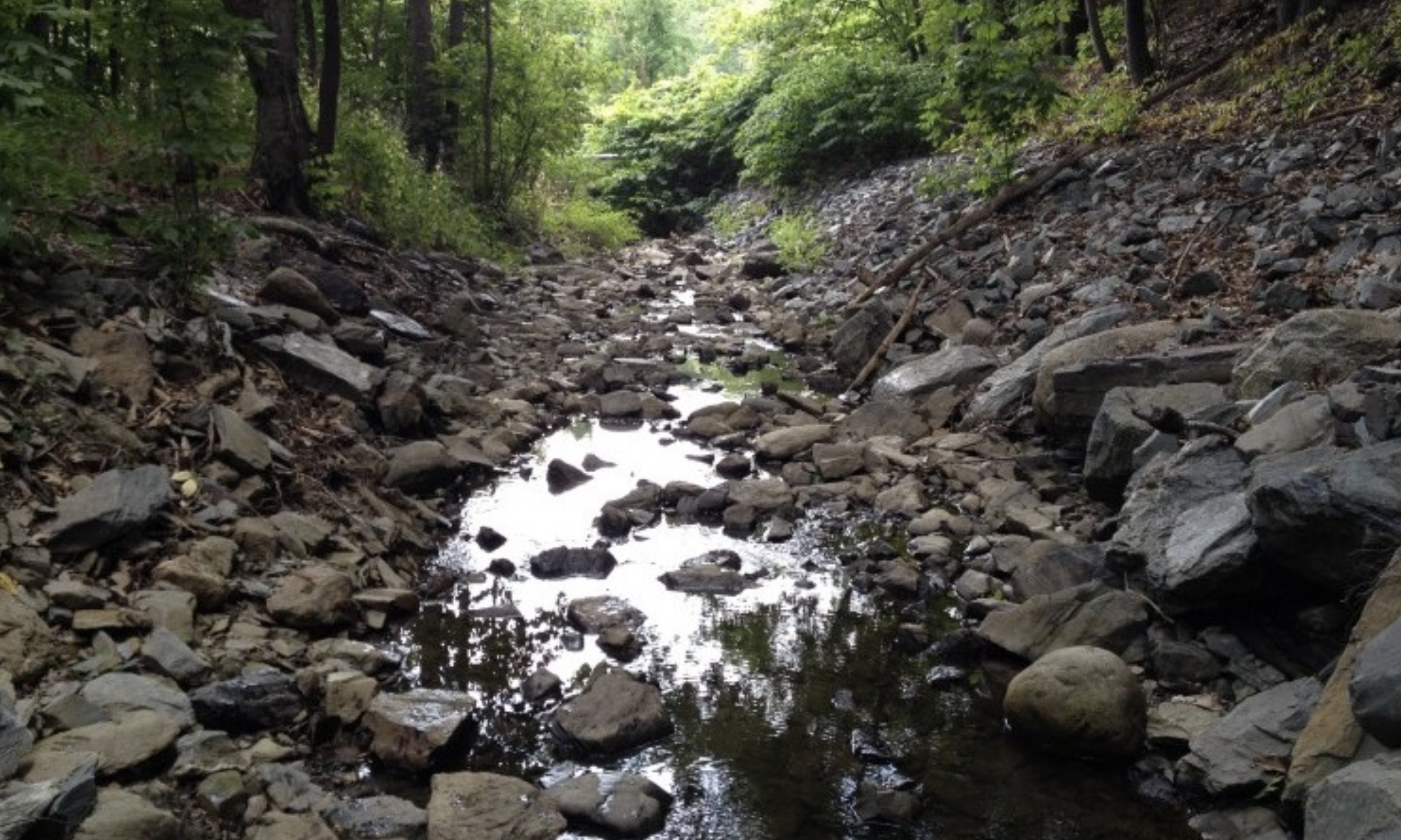 Arctic Brook Watershed Plan