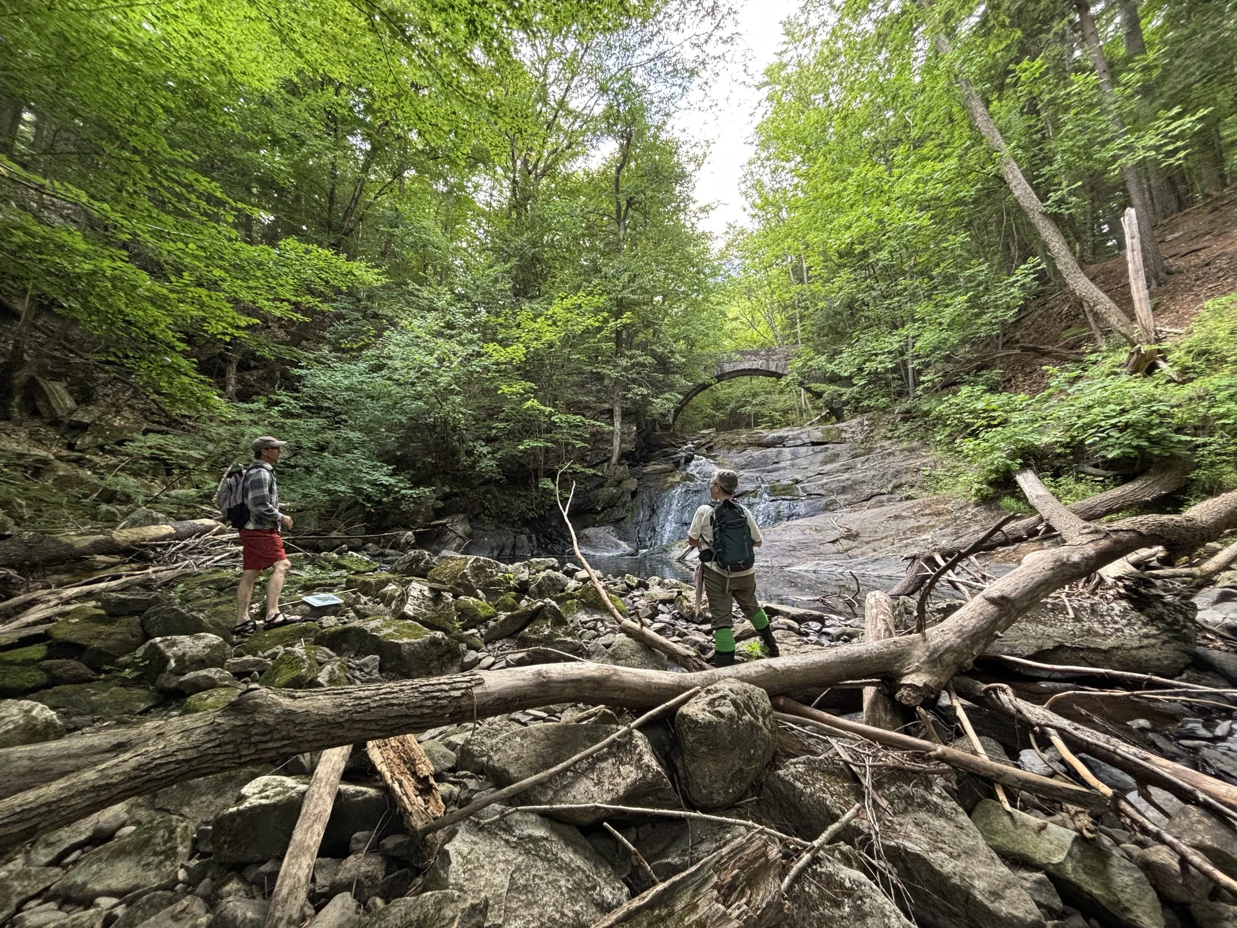 Vaughan Brook Watershed-Based Management Plan