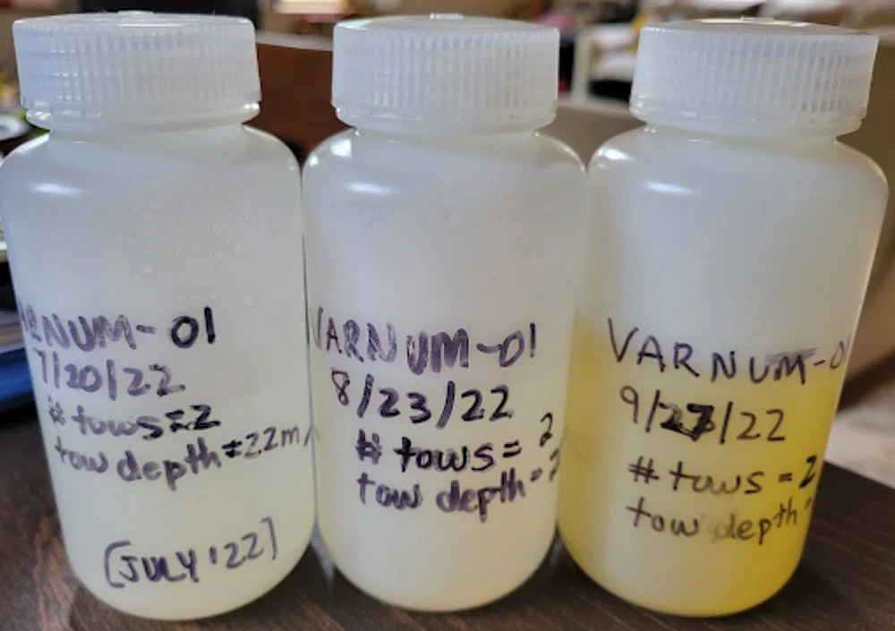 Varnum Pond Water Quality Monitoring