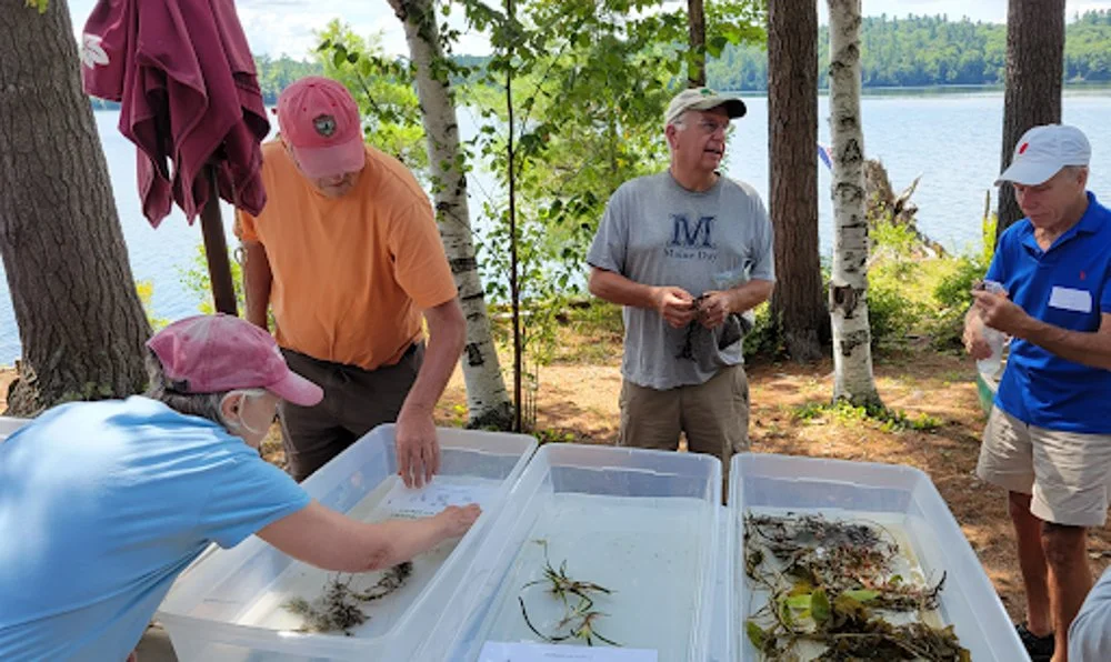 Varnum Pond Plant Paddle Workshop