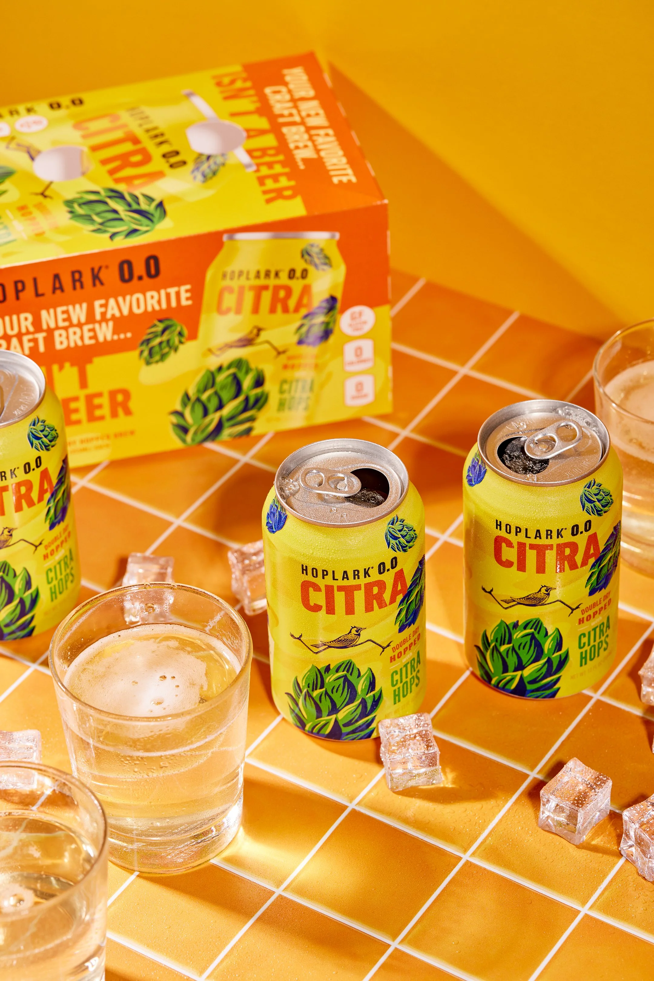 Client: Hoplark
Creative Direction: Dusky Hamm
Art Direction: Scott Scrivner
Photographer: Brandon Smith 