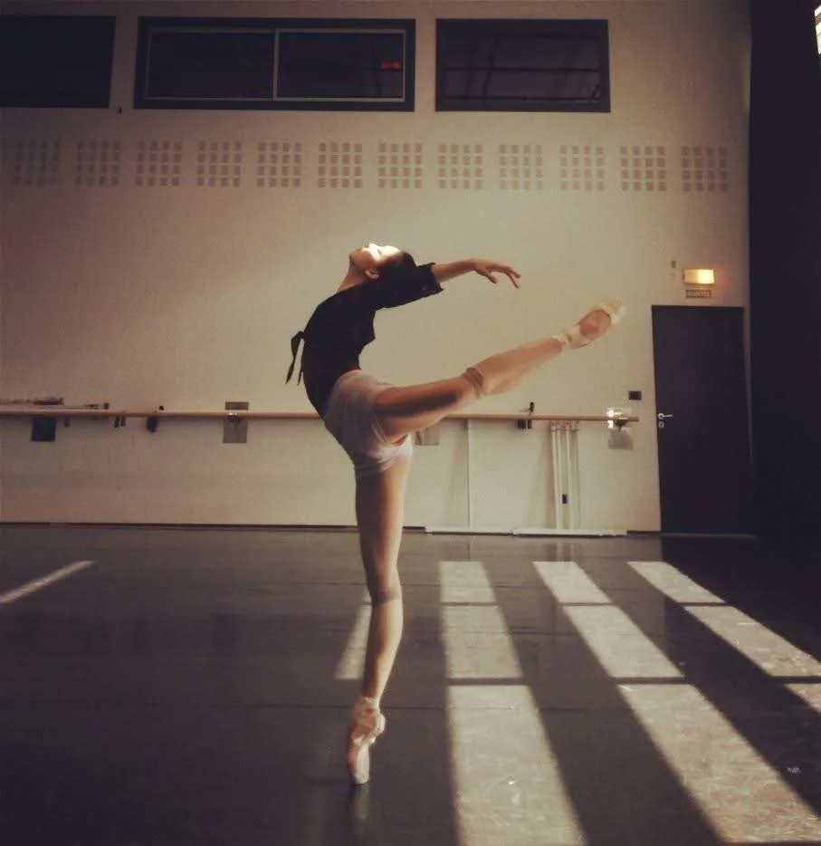 Cours prives Senhe
