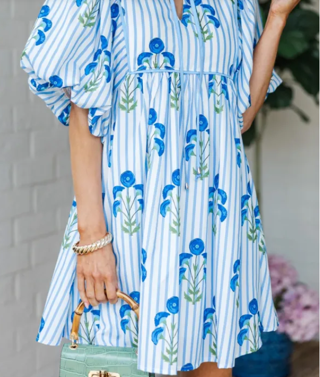 Sky Blue Floral Striped Print Tie Notched Neck Puff Sleeve Flared Mini Dress