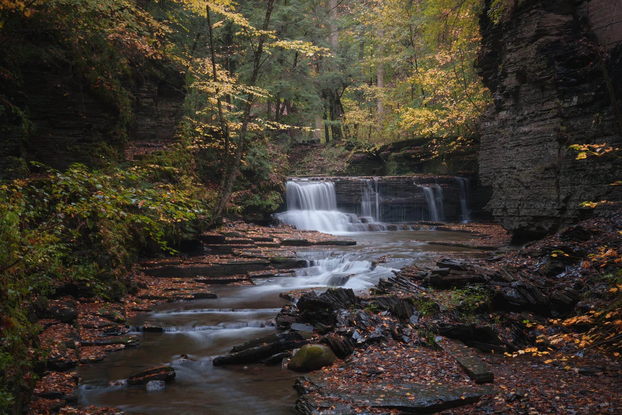 Ambient Sounds - Fillmore Glen (5:06)