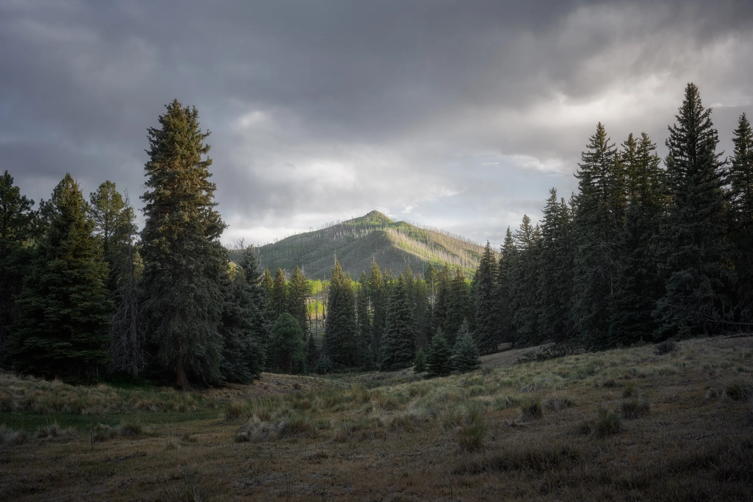 20260522_A1B5883-HDR.jpg