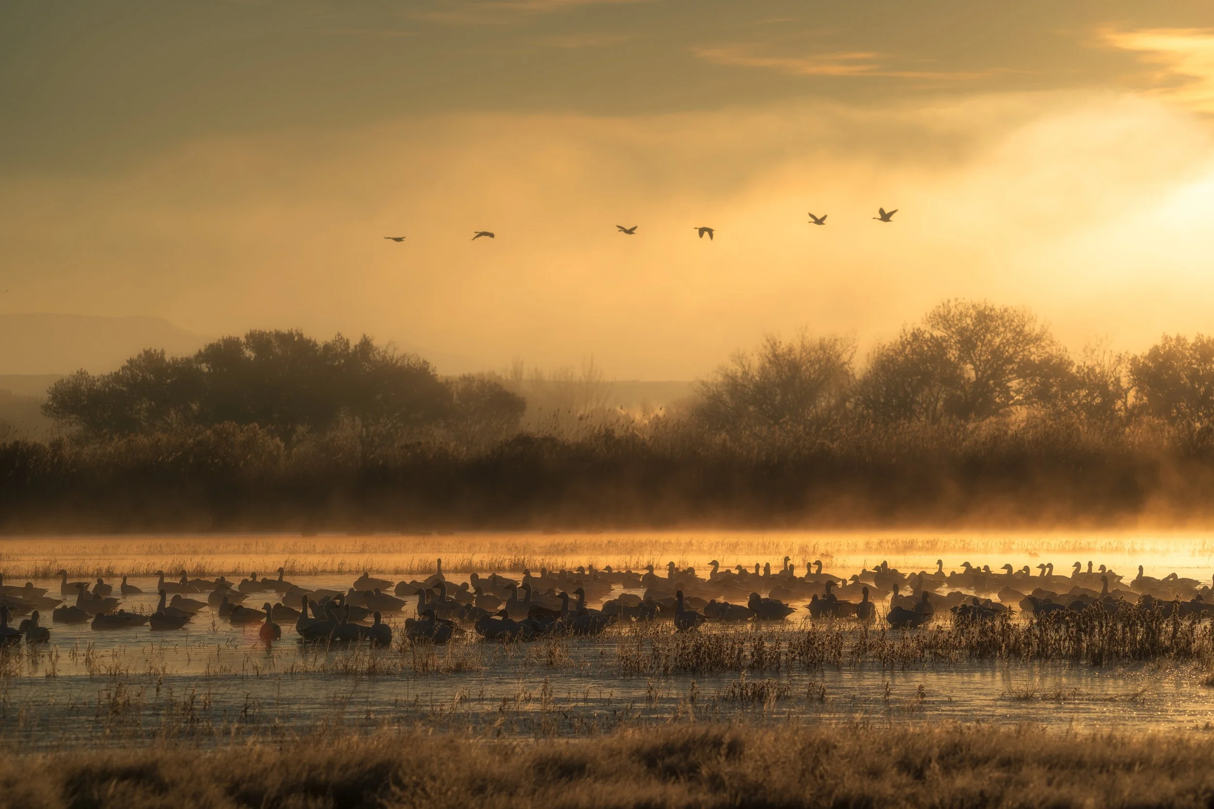 A Winter's Dawn (2:20)