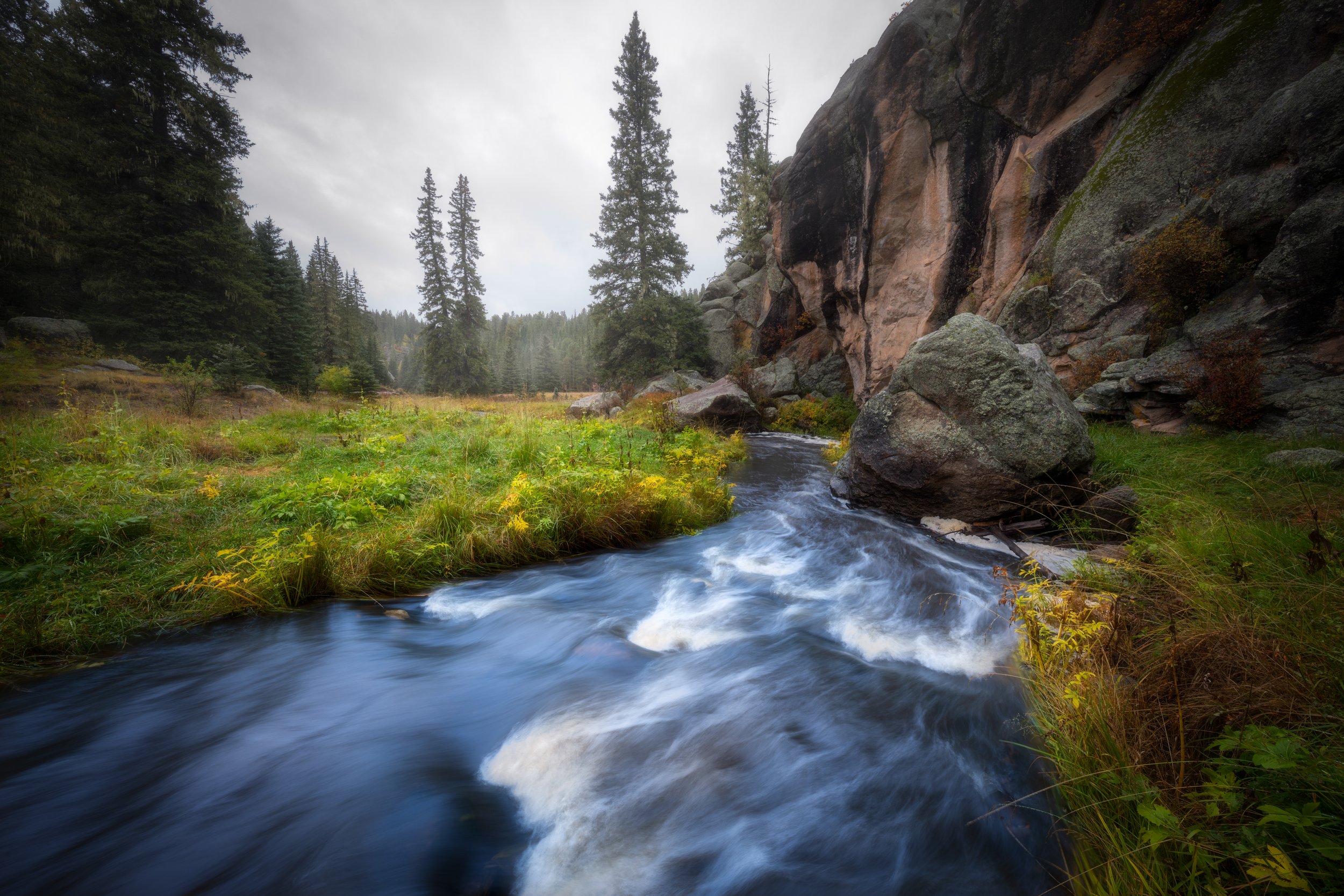Jemez Mountain Stream