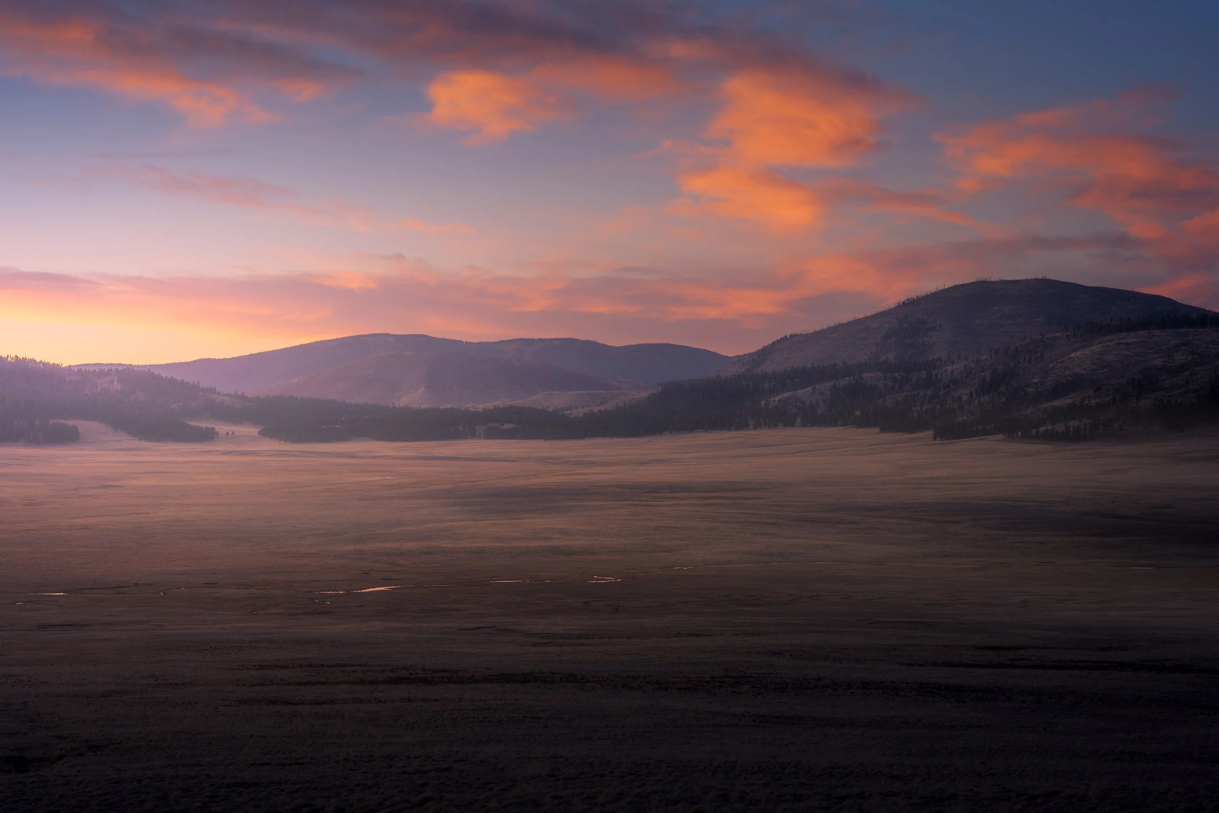 20260316_A1B0842-HDR-Edit 4-2.JPG