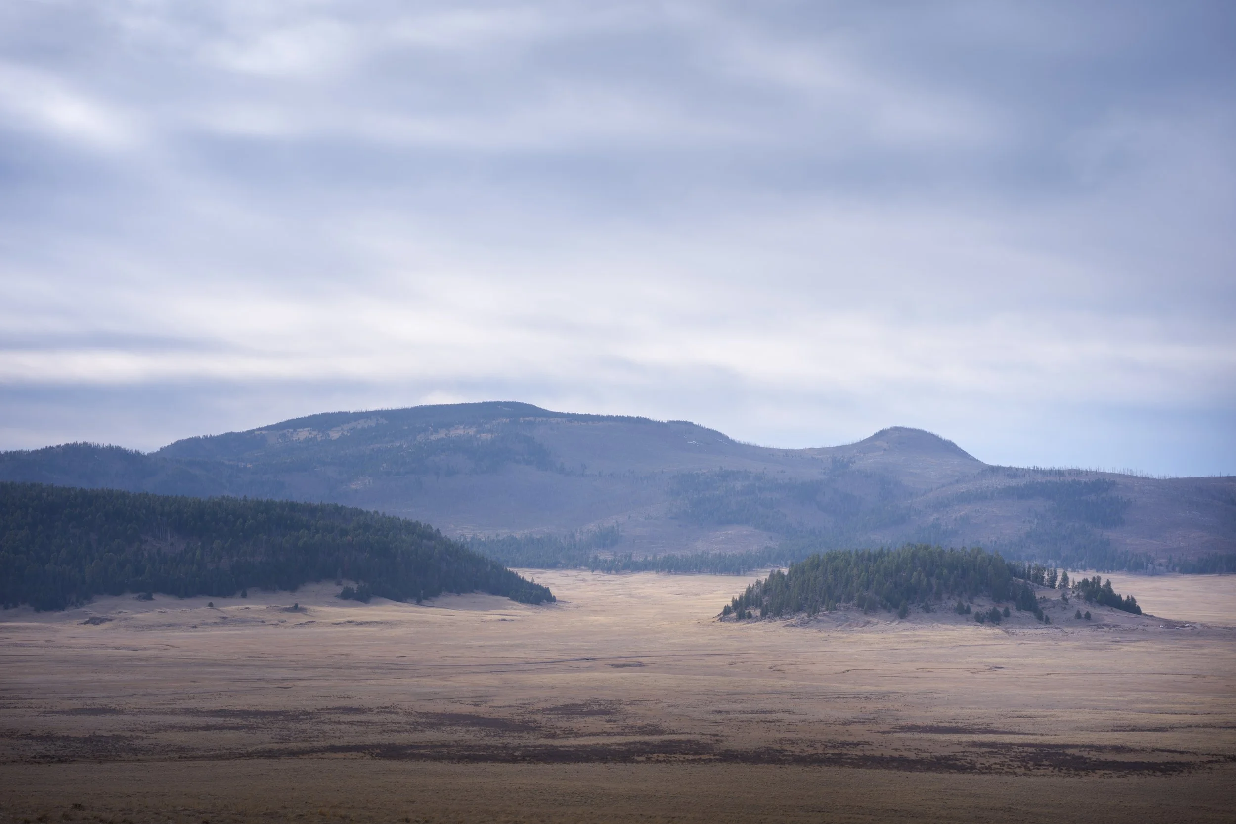 2026032320260323_A1B1186-Edit 2-2.jpg