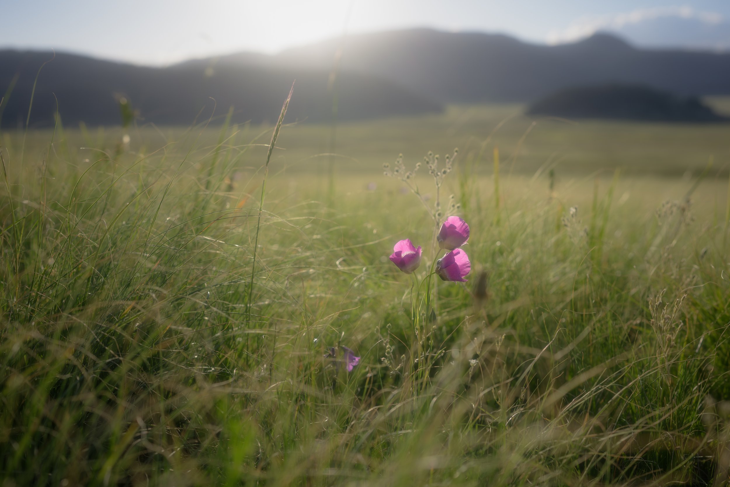 Beauty in Numbers (1:15)