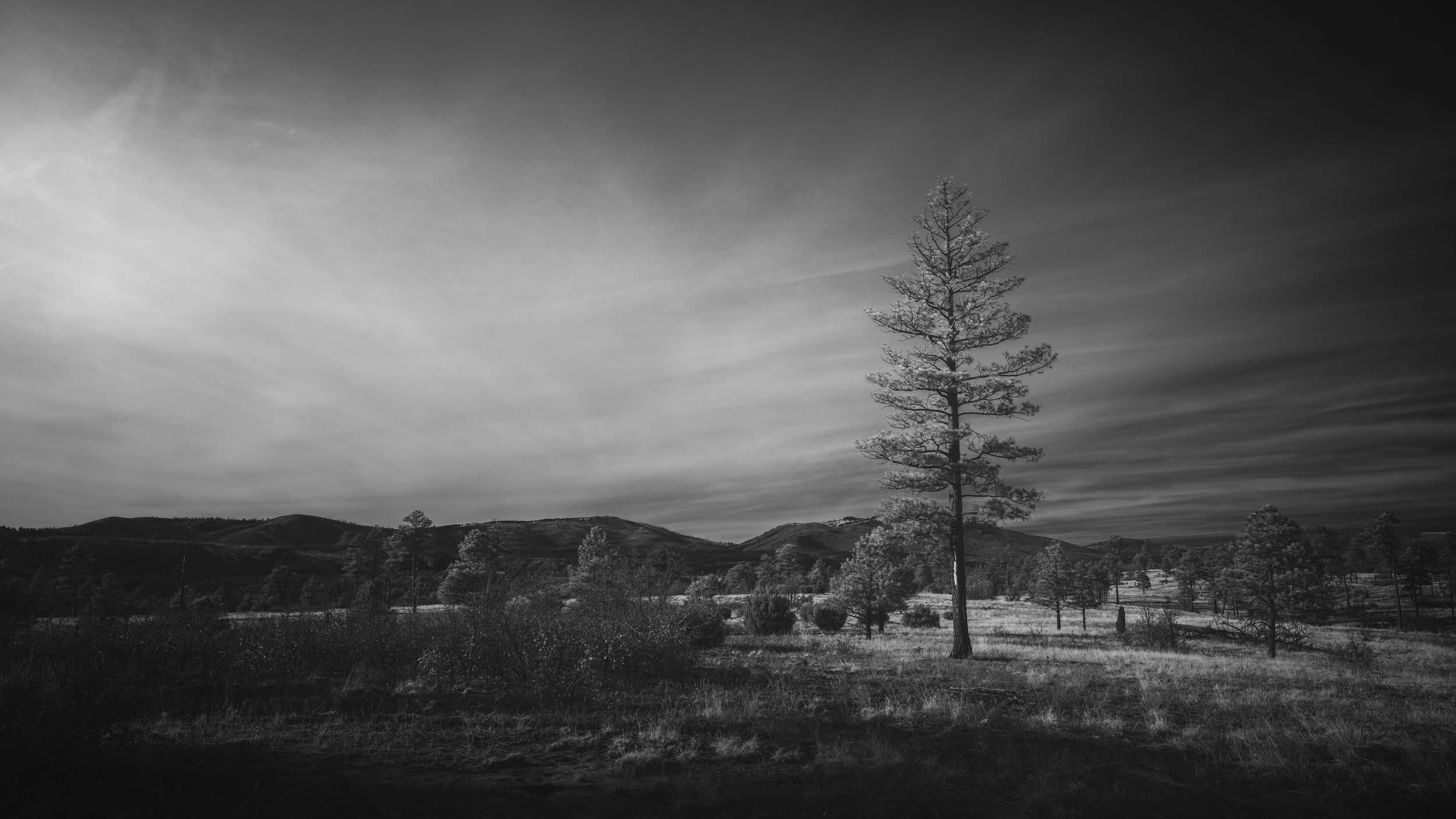 20241129_JRS4240-Edit 2-2.jpg