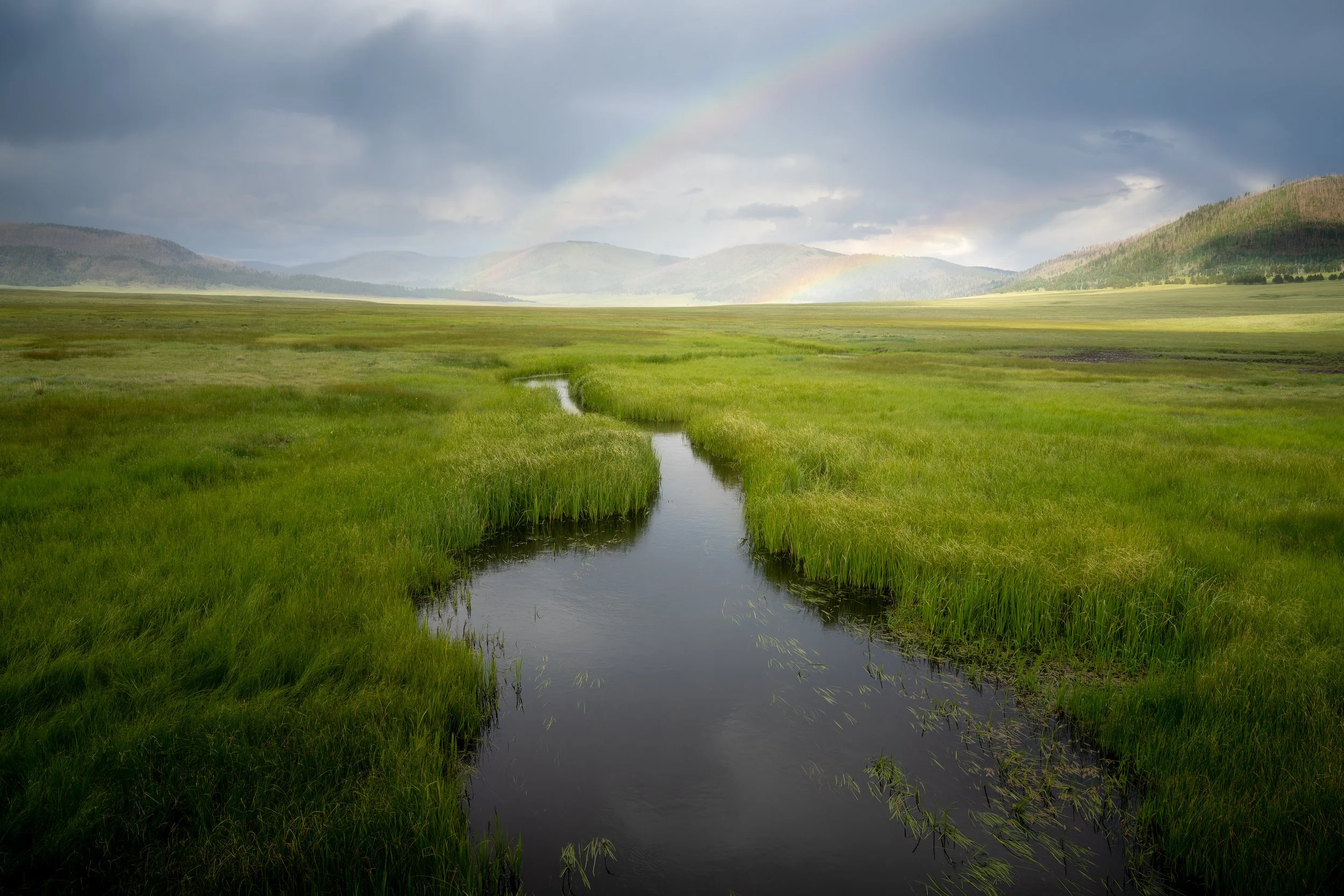 A Brief Moment in Time