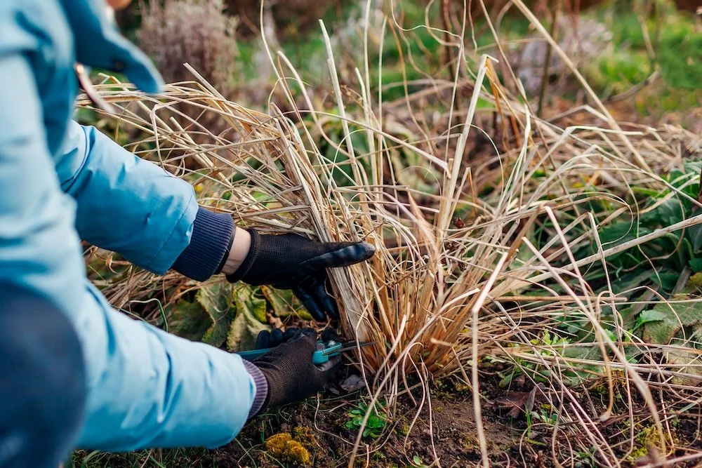Spring Cleanup and Fall Cleanup in Charlestown, RI