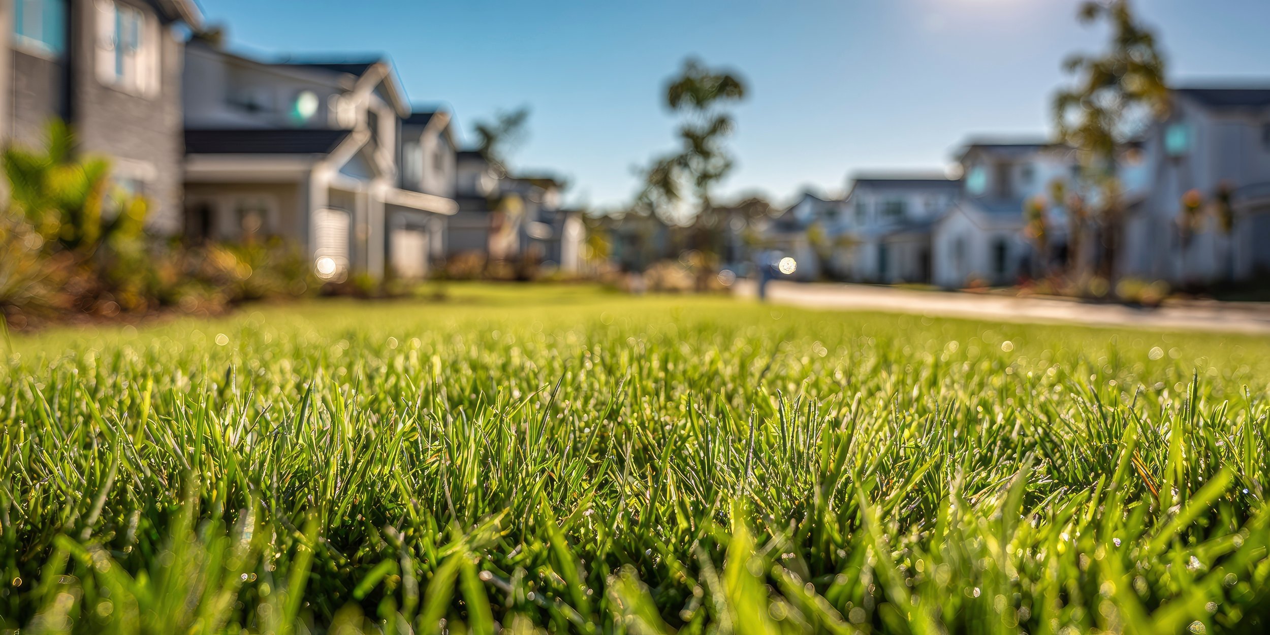 Lawn Mowing & Lawn Care in Coventry, RI