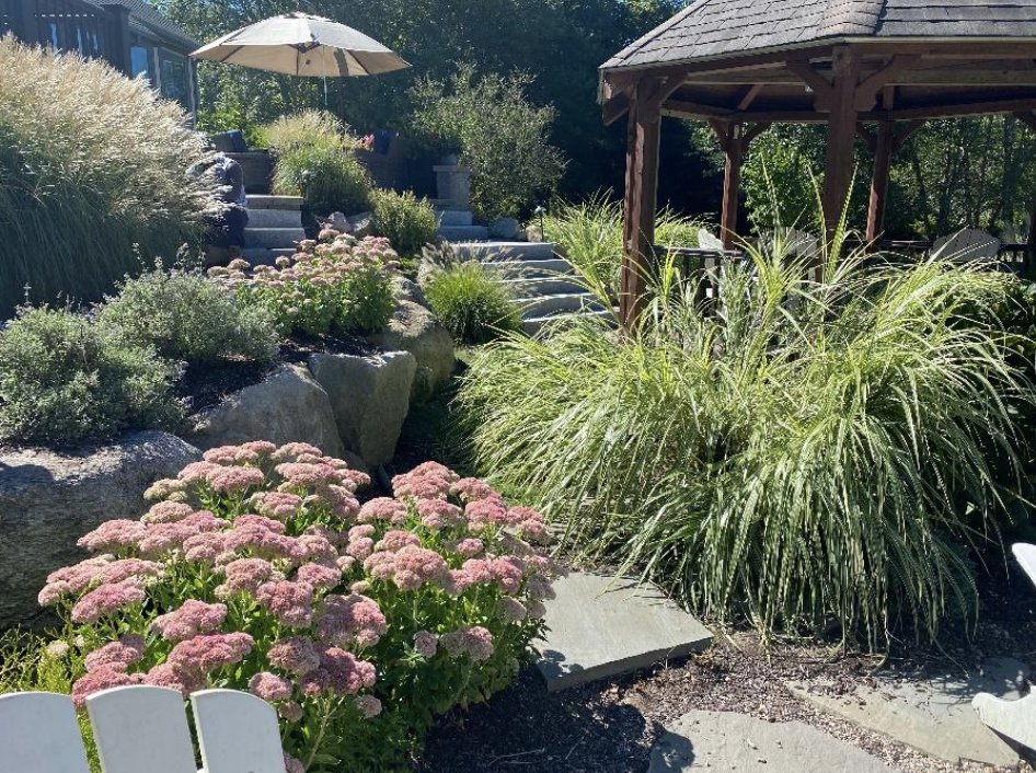 Plantings are Lovely and Functional: Perfect Accents for a Newport or North Kingstown, RI Landscape