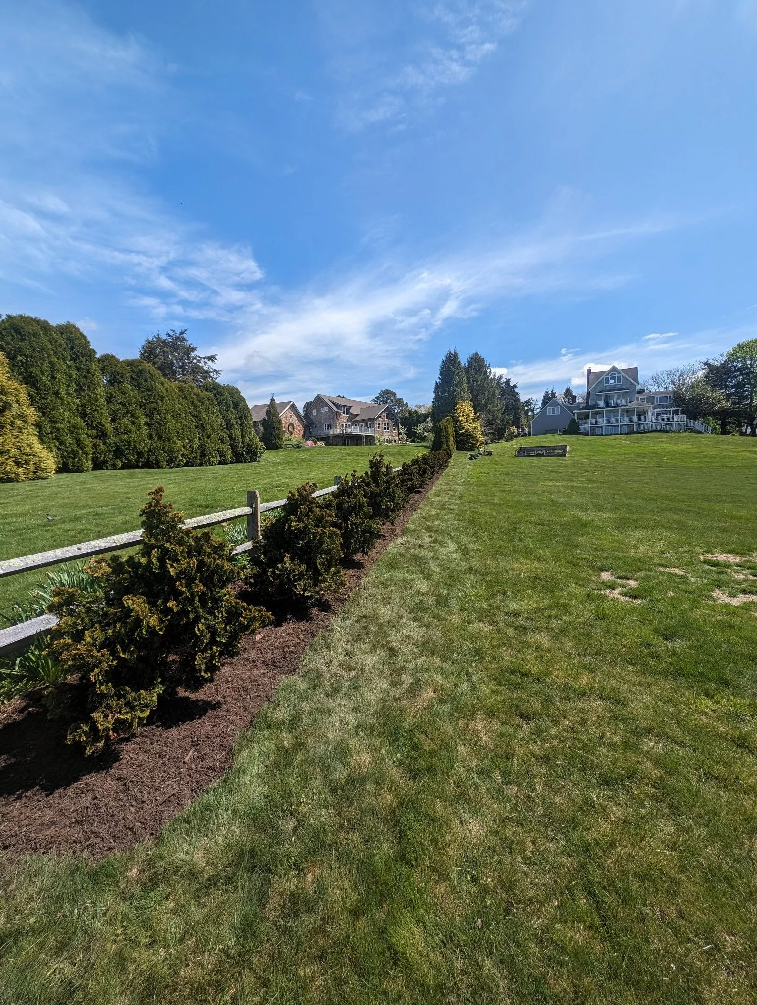 A lush green lawn with a short picket fence, surrounded by various trees and bushes, and houses in the background under a partly cloudy blue sky.