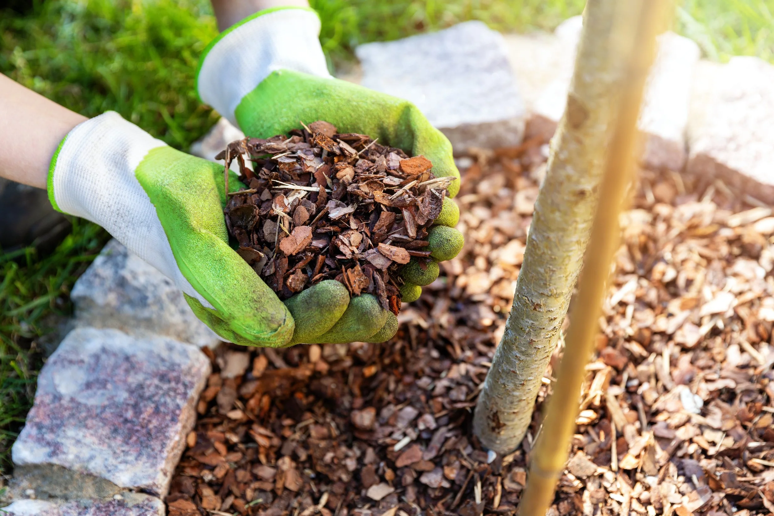 Fresh mulching near me in Charlestown, RI