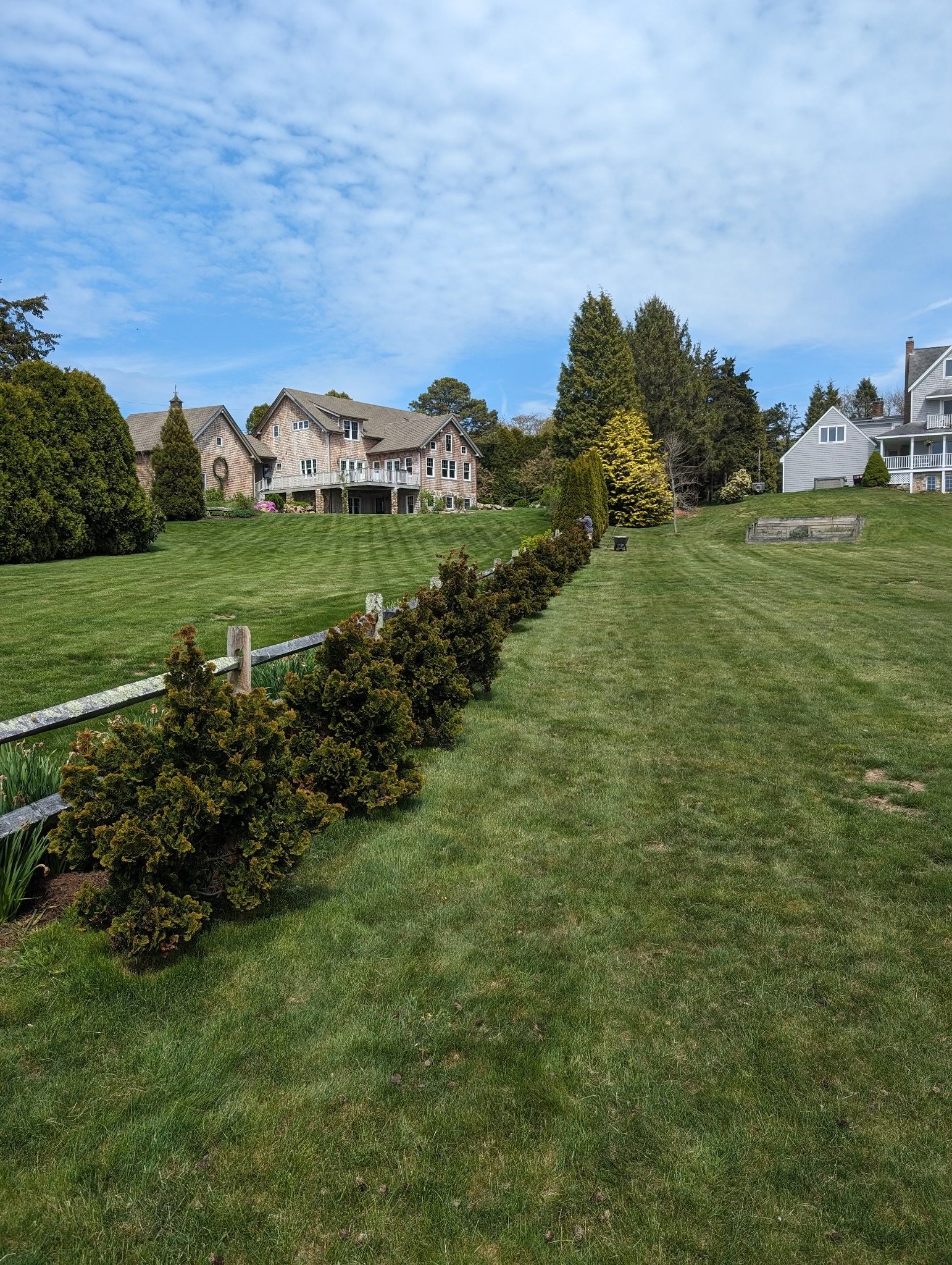 A large well-maintained grassy lawn with a row of bushes along a wooden fence in the foreground. In the background, there are several houses with various trees and a partly cloudy blue sky.
