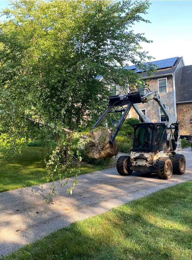 Landscape maintenance and tree services in Newport, RI