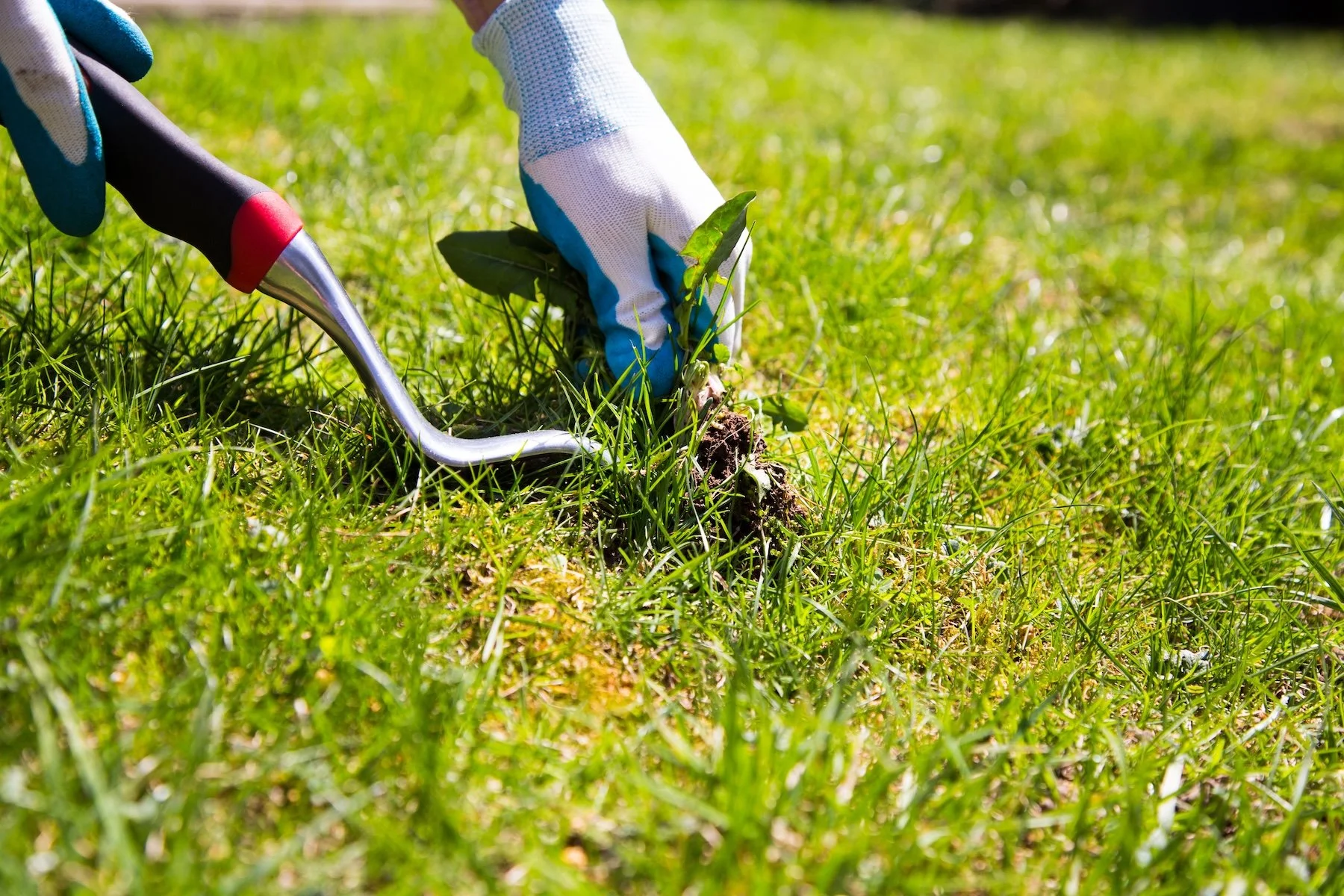 Weeding and lawn maintenance in Wakefield, RI by GrandScapes