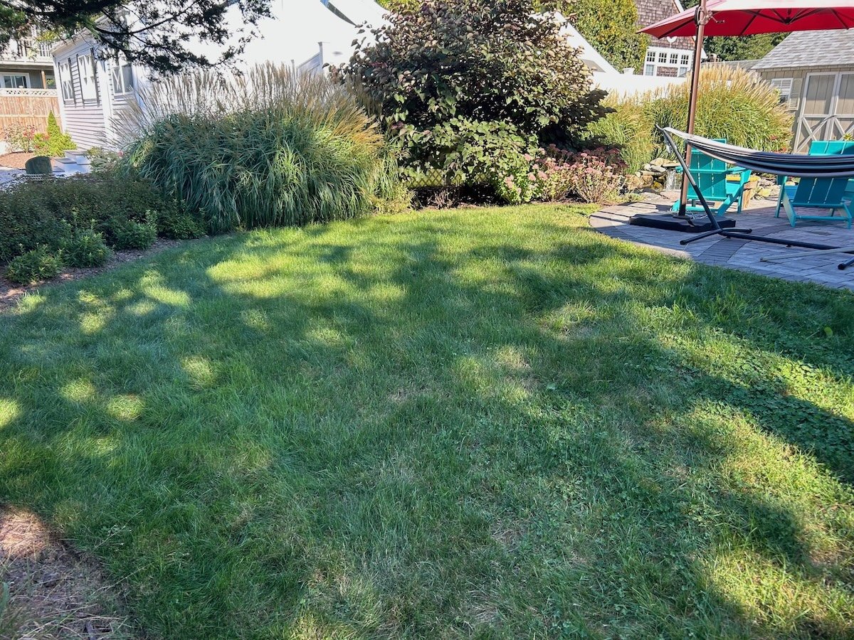 Lawn care in South Kingstown, RI