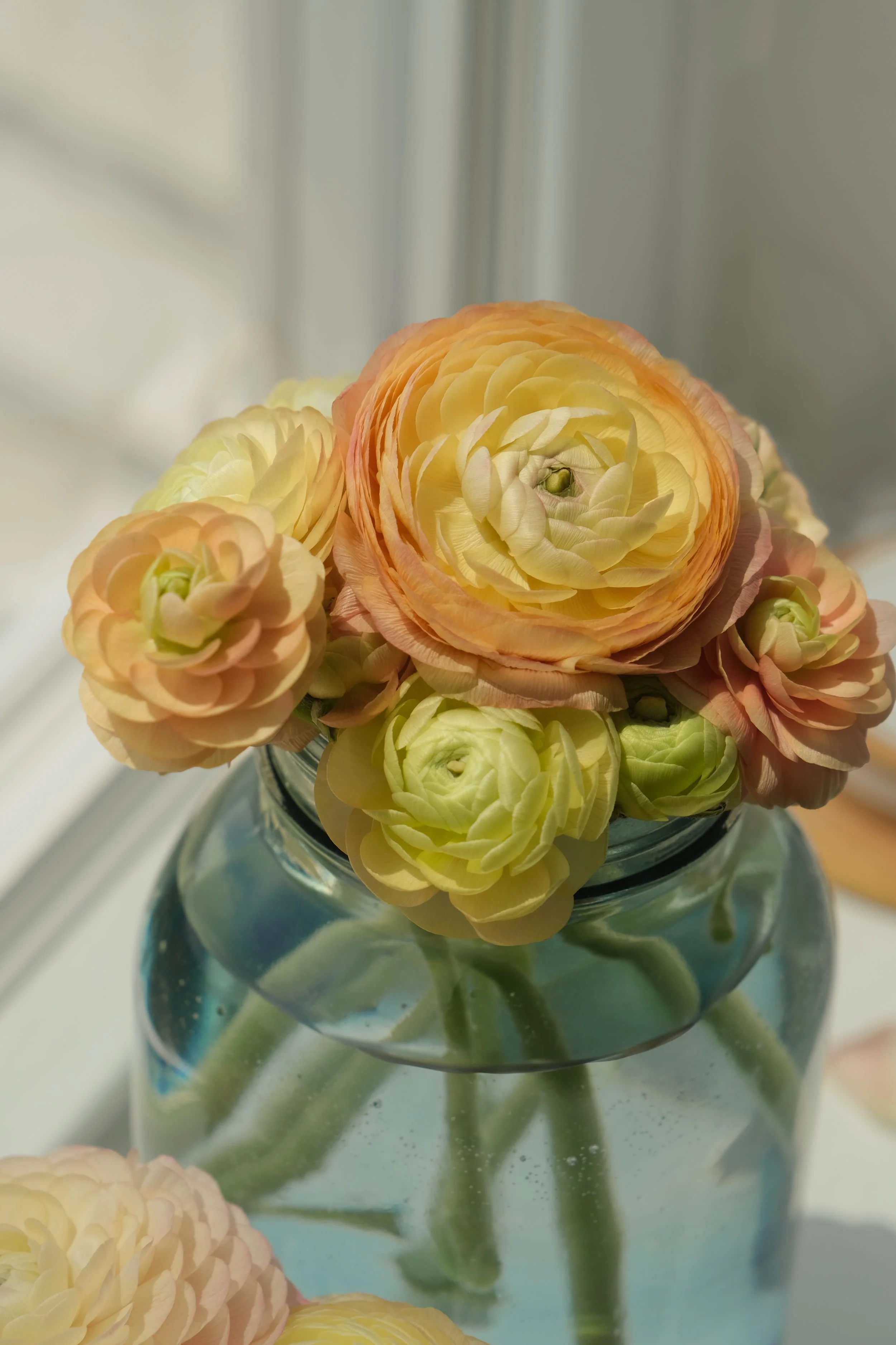 A bouquet of pale peach and yellow ranunculus flowers in a glass vase filled with water, sitting on a windowsill.